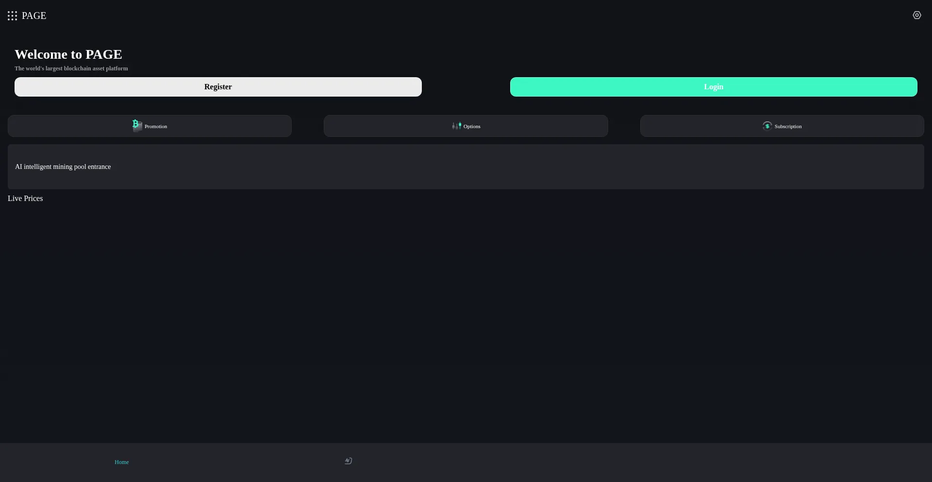 Website screenshot of H5.pagedia.com