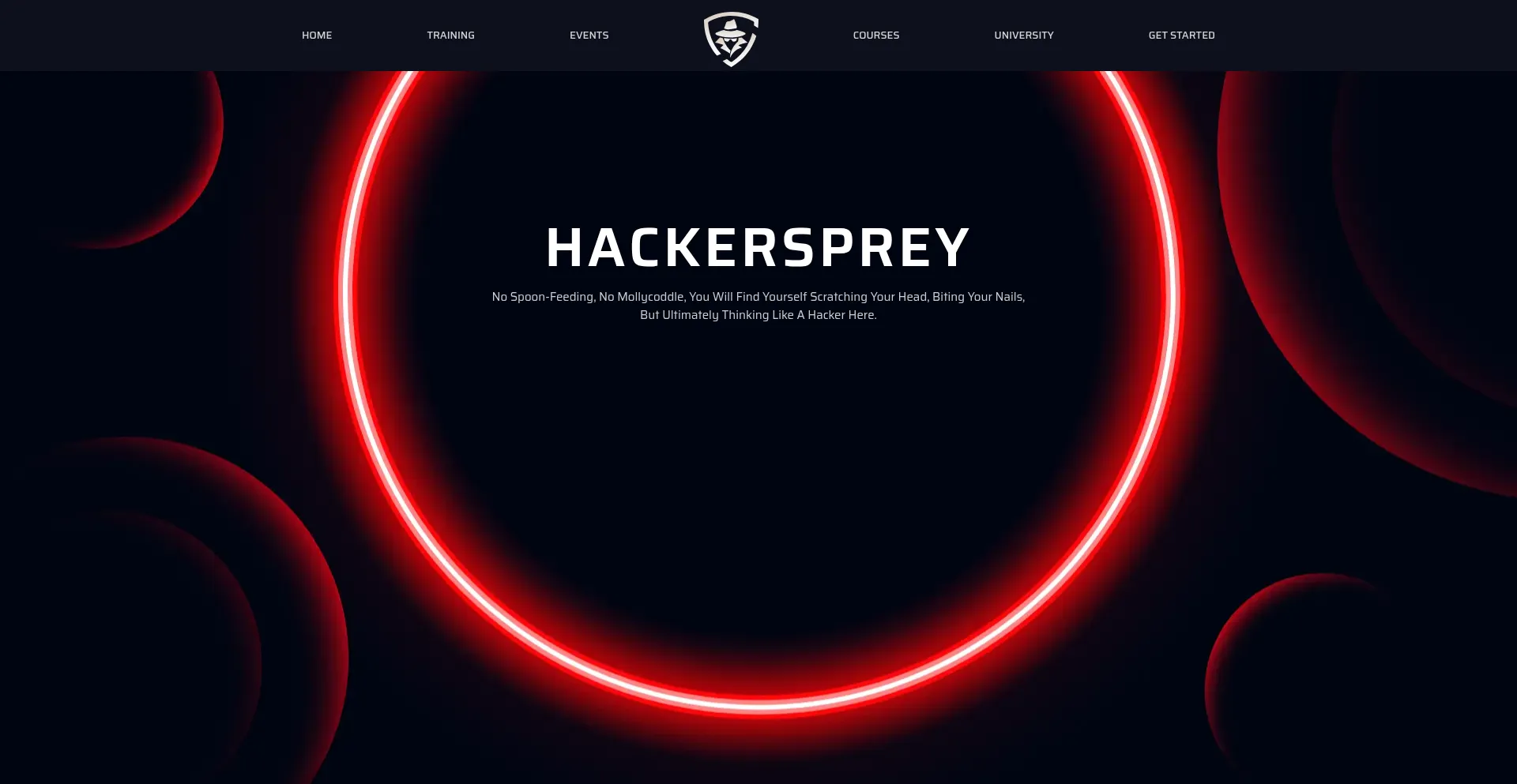 Website screenshot of Hackersprey.com