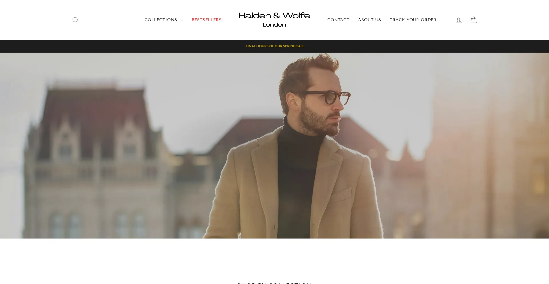 Website screenshot of Haldenandwolfe.com