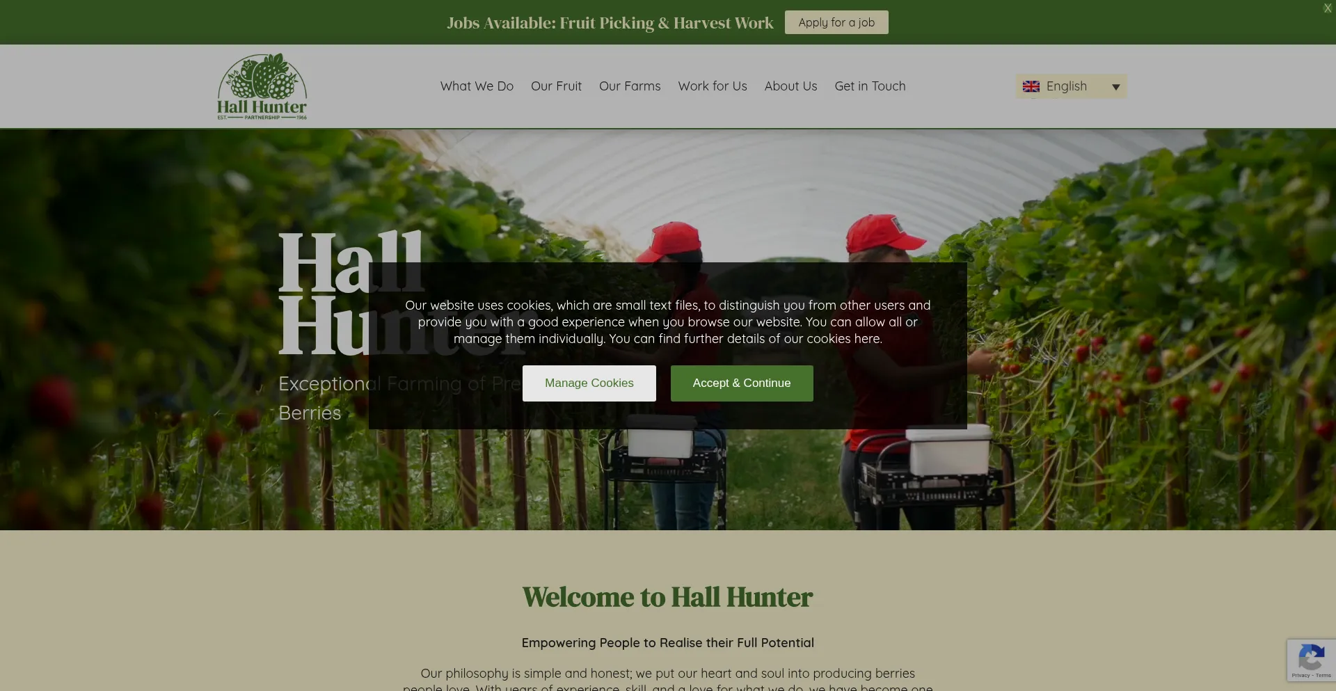Website screenshot of Hallhunter.com