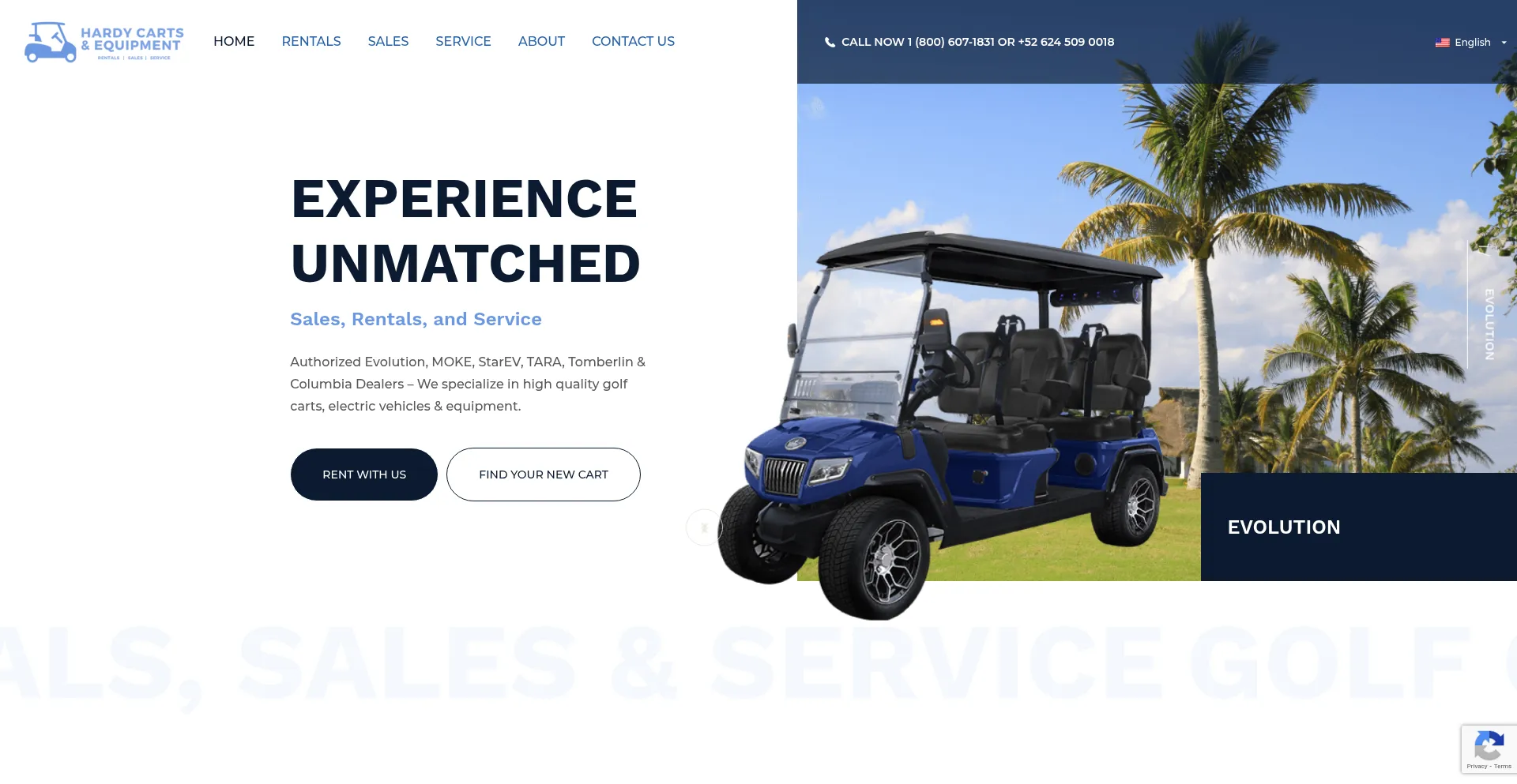 Website screenshot of Hardycarts.com.mx