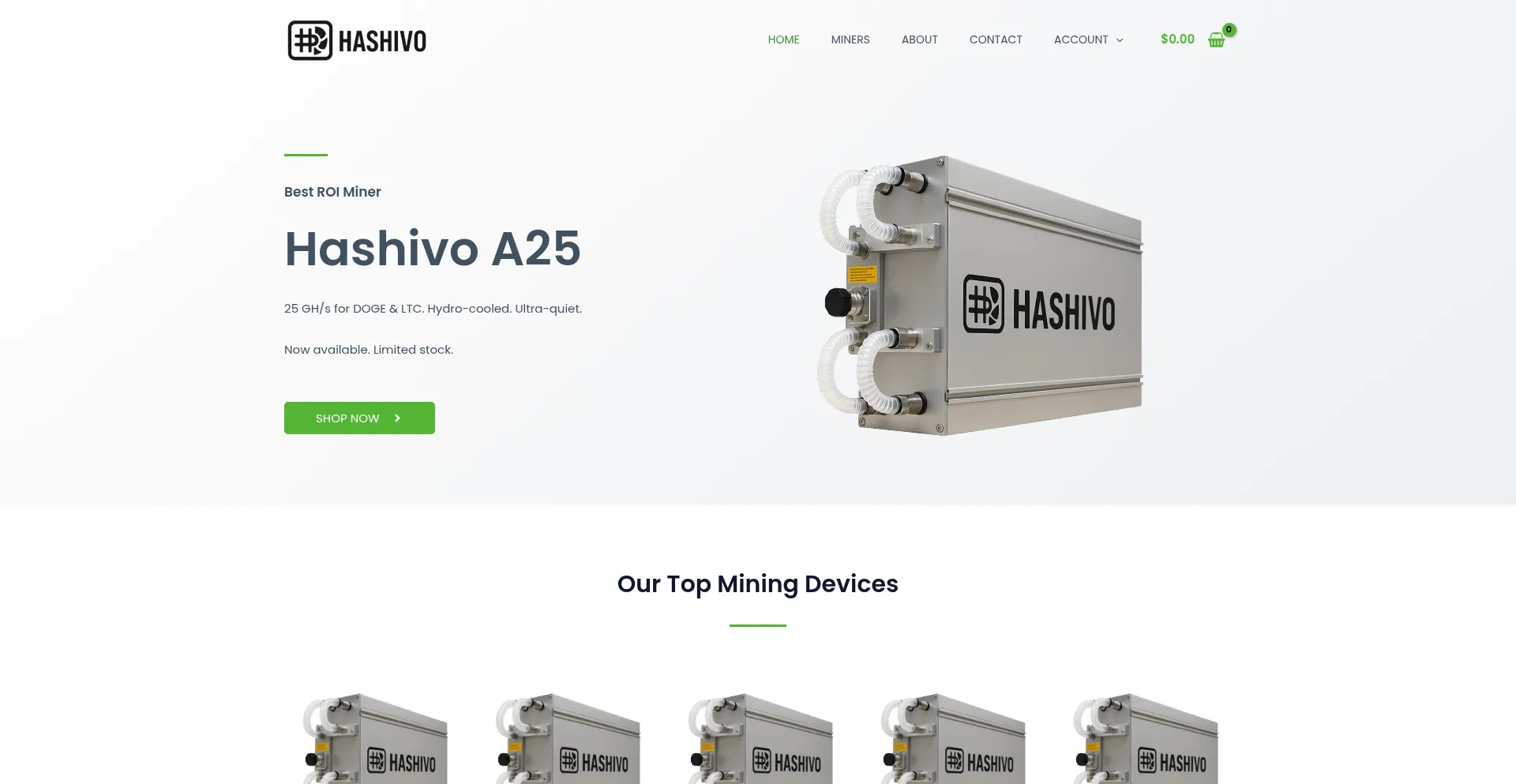 Website screenshot of Hashivo.com