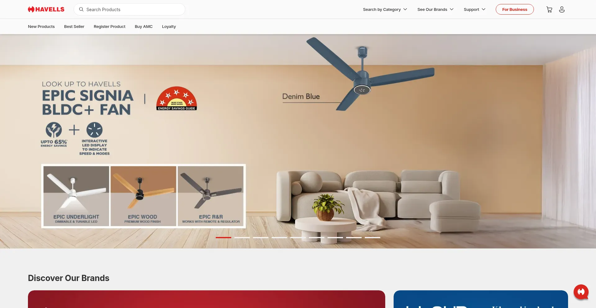 Website screenshot of Havells.com