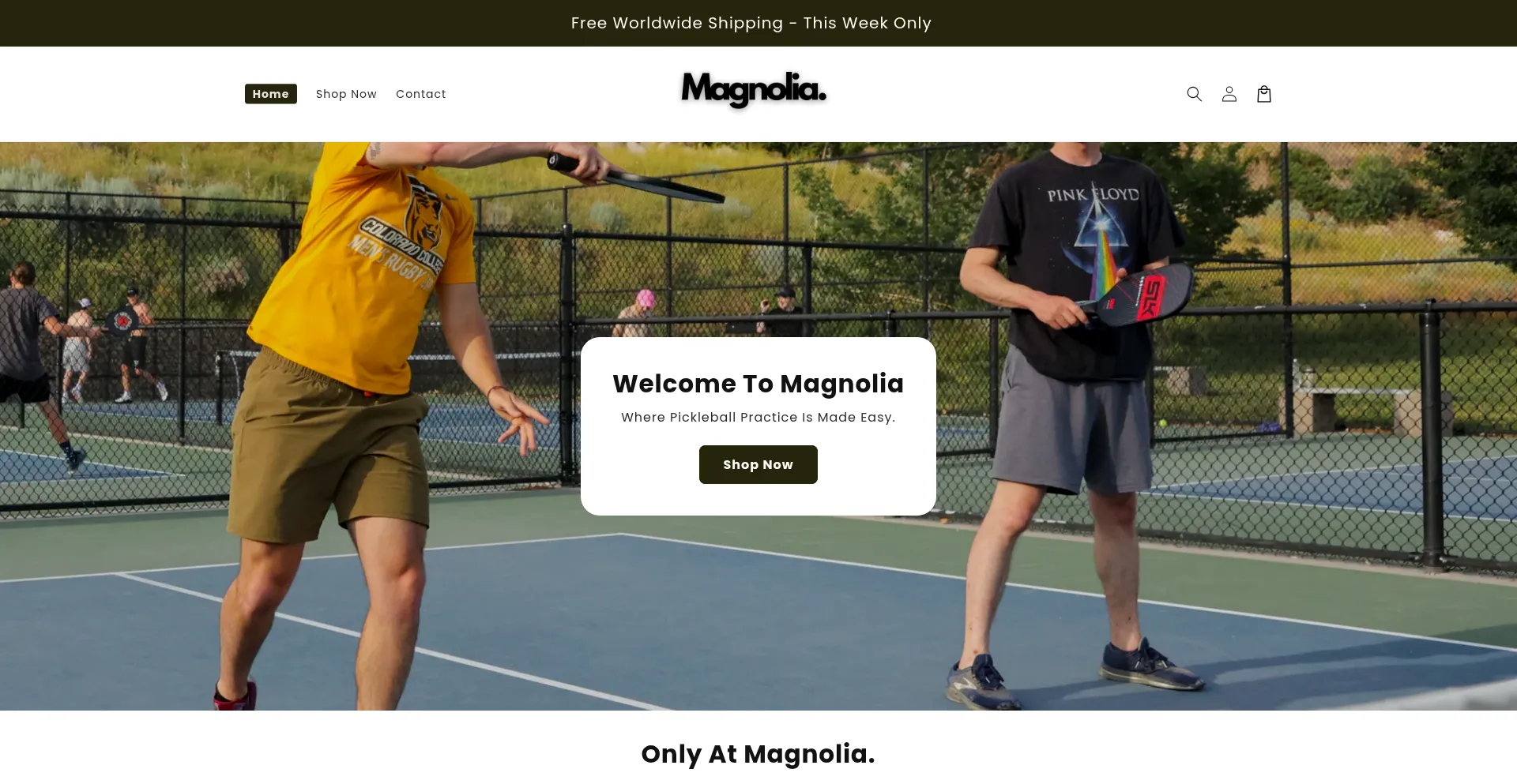 Havenofmagnolia.com 安全可靠吗？
