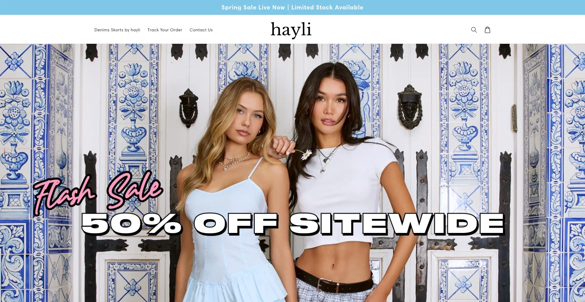 Website screenshot of Hayli.store