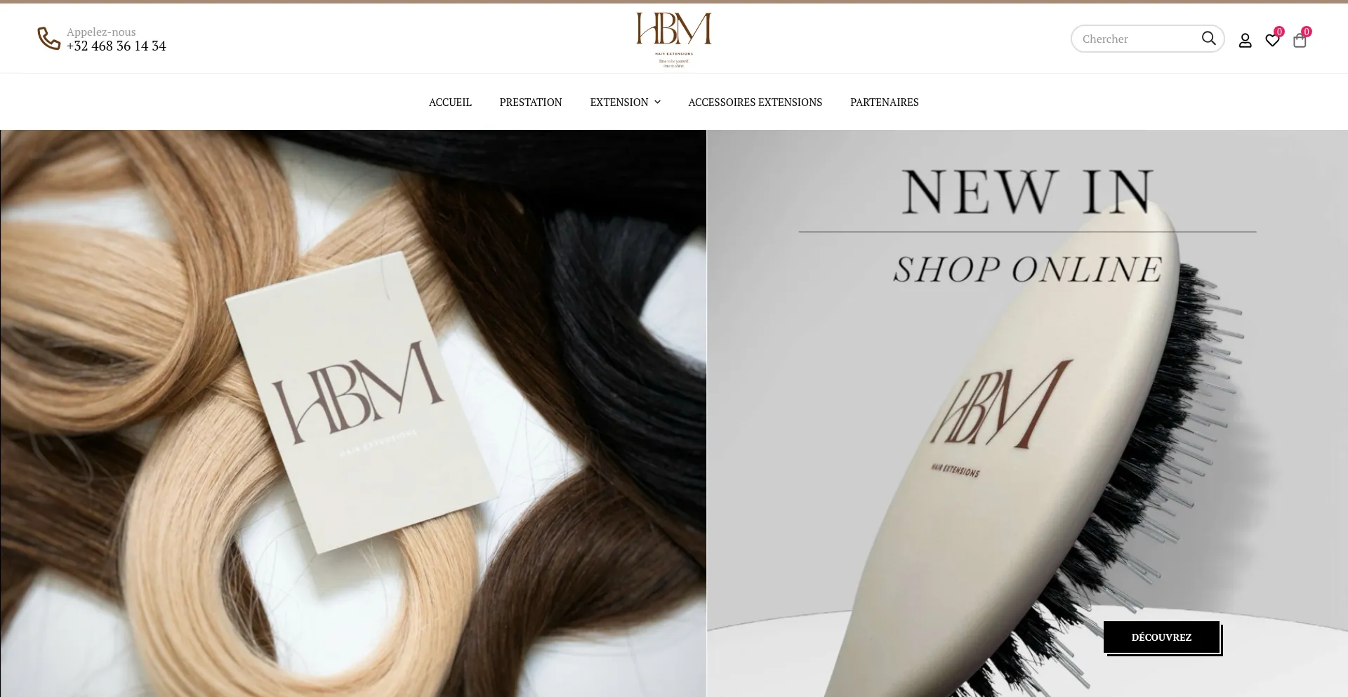 Website screenshot of Hbmextension.com