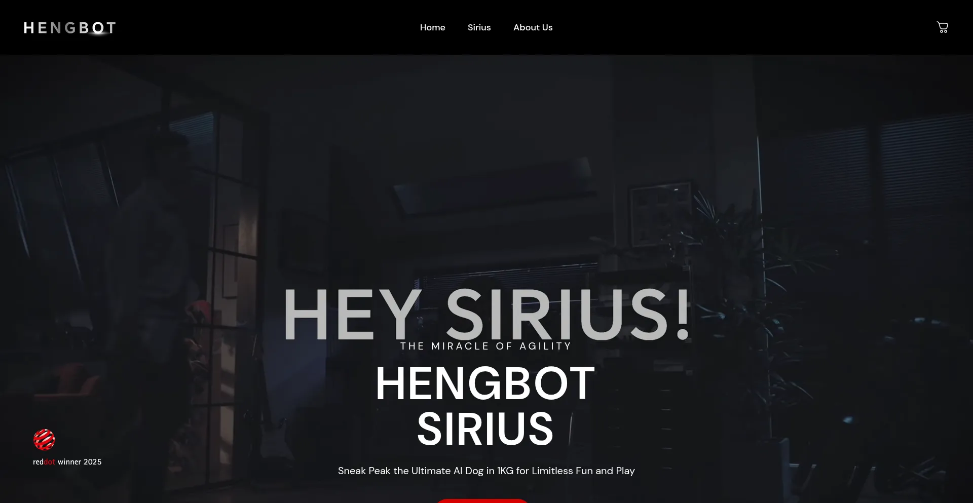 Website screenshot of Hengbot.com