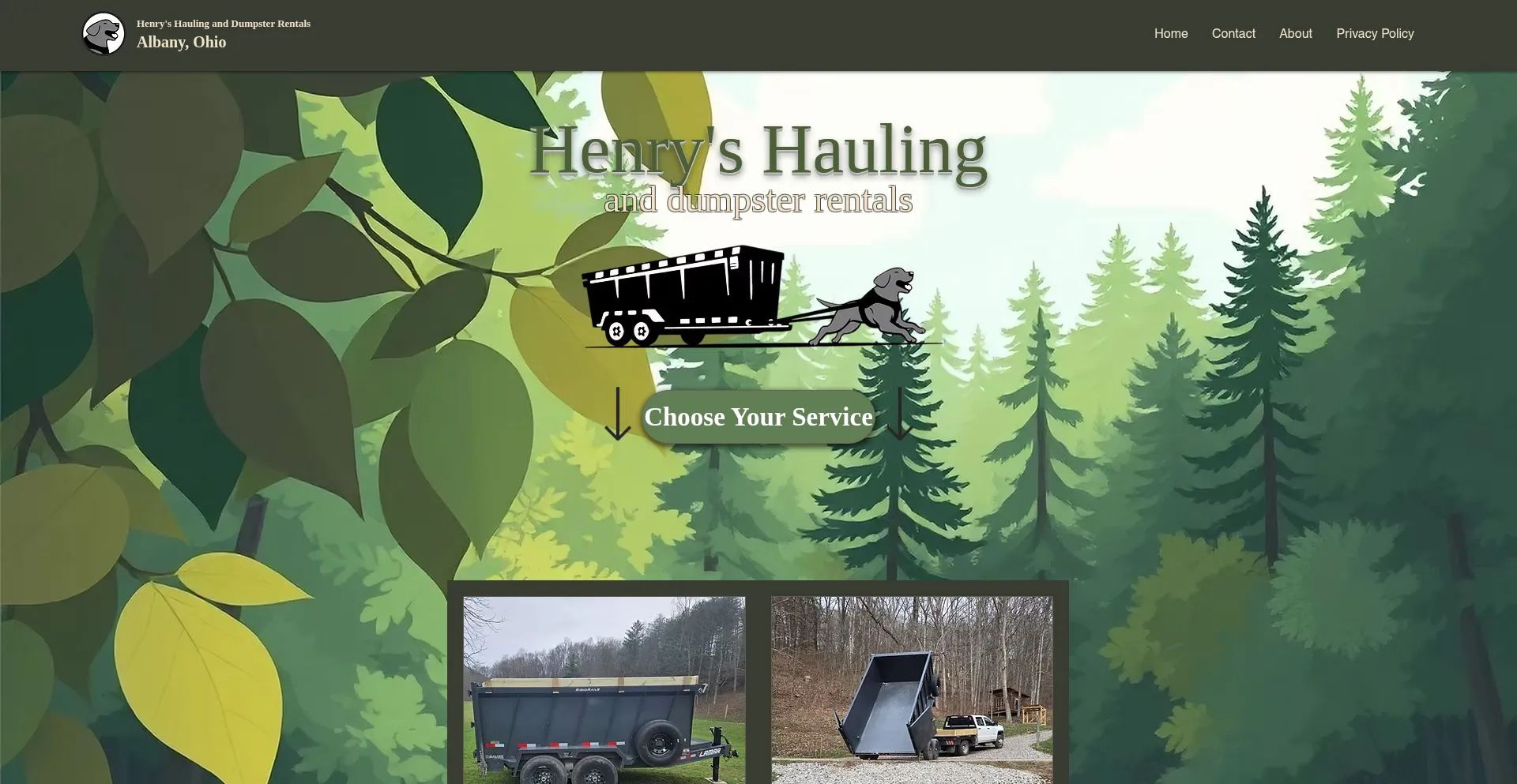 Henrysdumpsterrentals.com