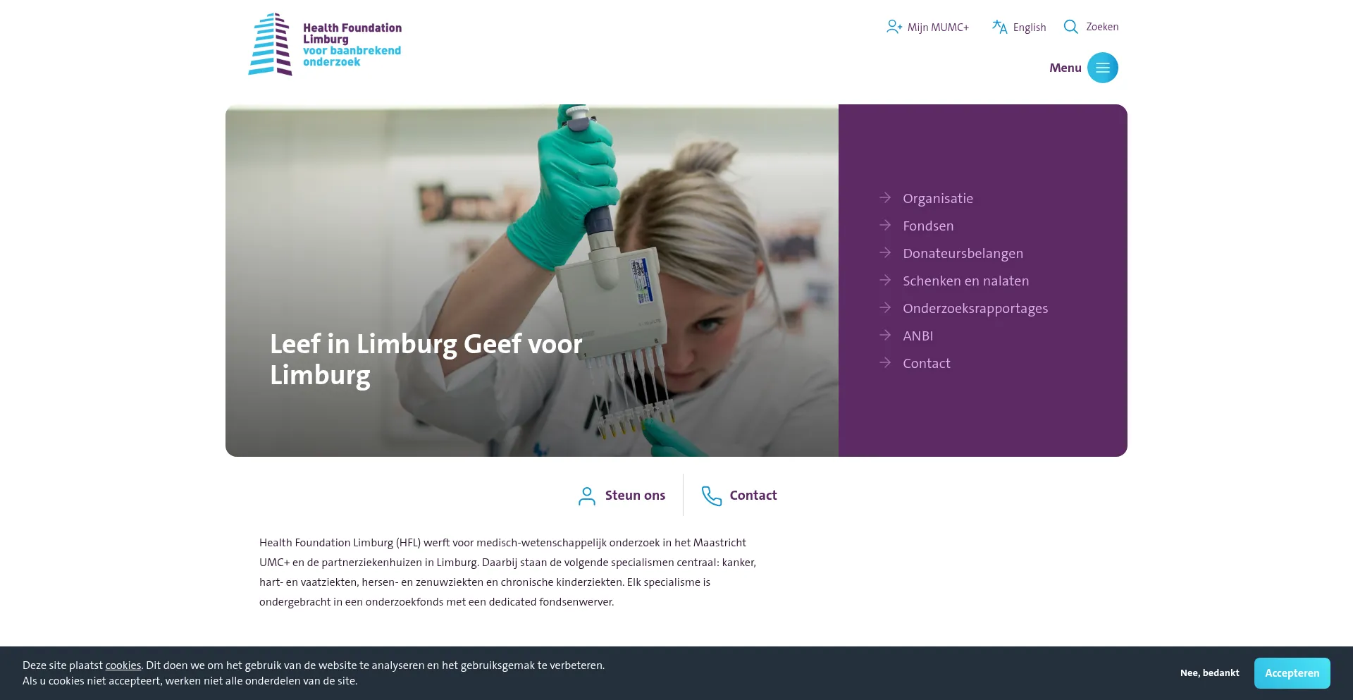Website screenshot of Hfl.nl