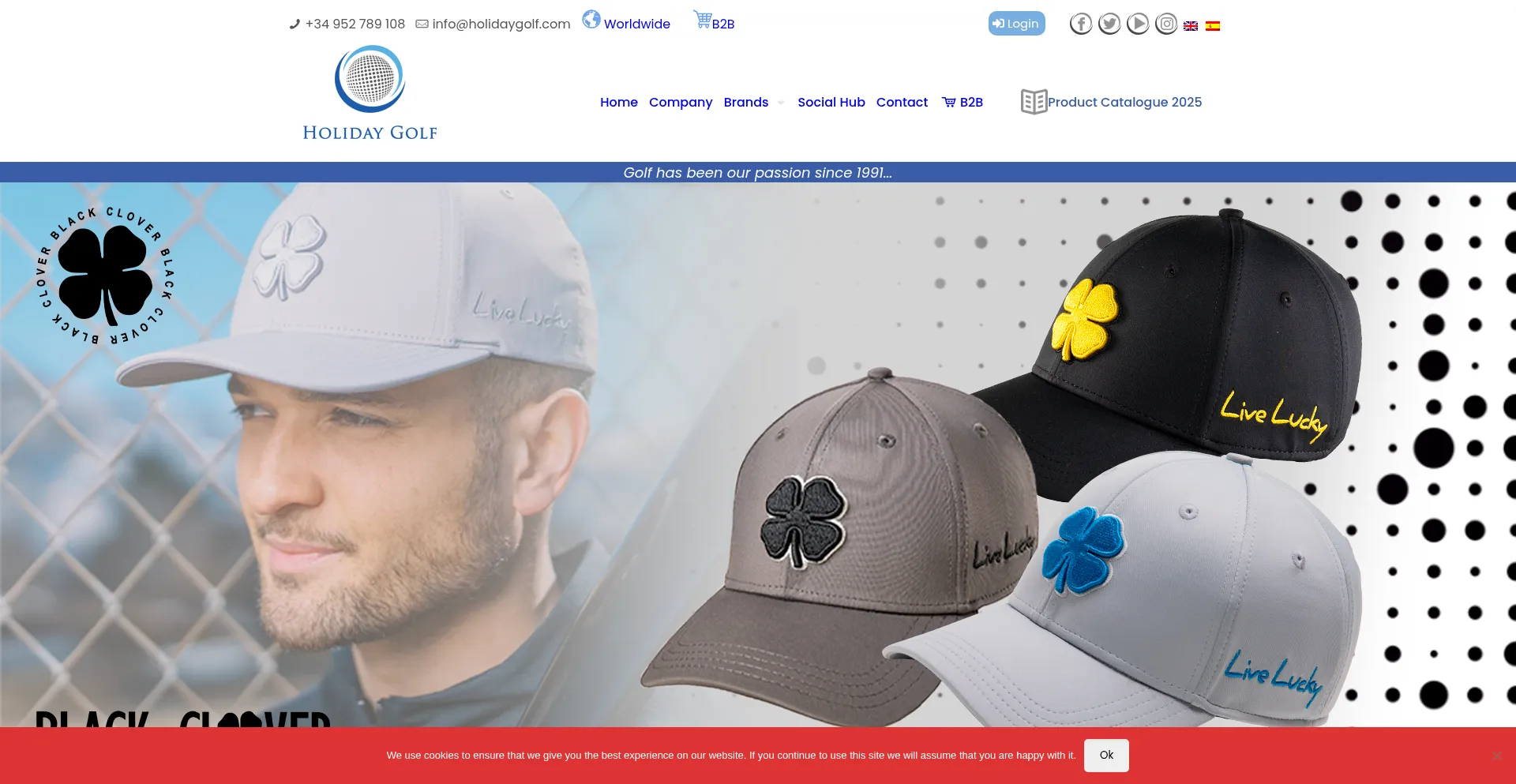Website screenshot of Holidaygolf.com