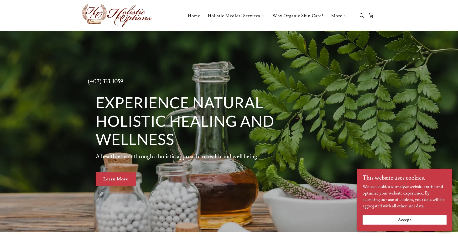 Website screenshot of Holisticoptionsinc.com