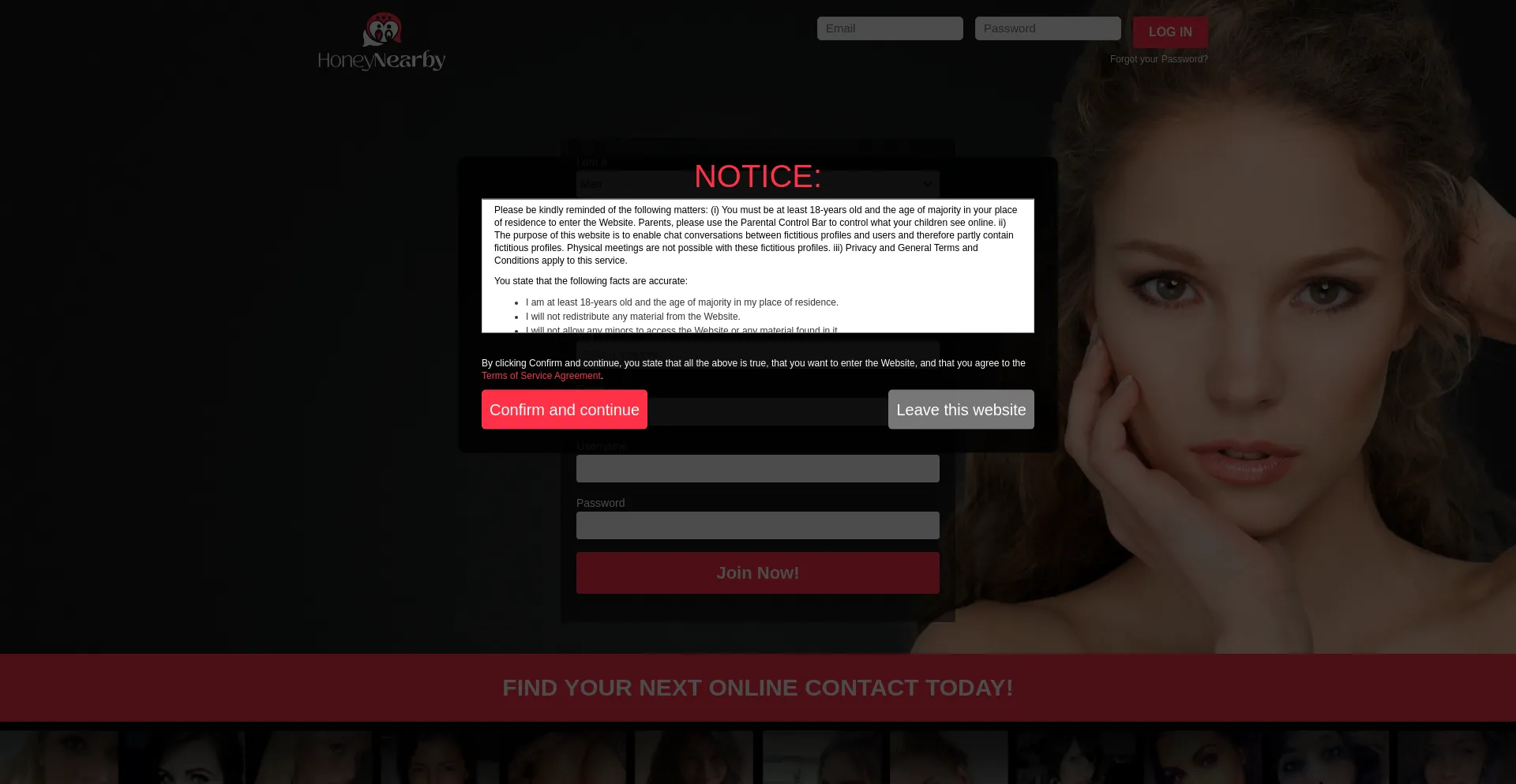 Website screenshot of Honeynearby.com