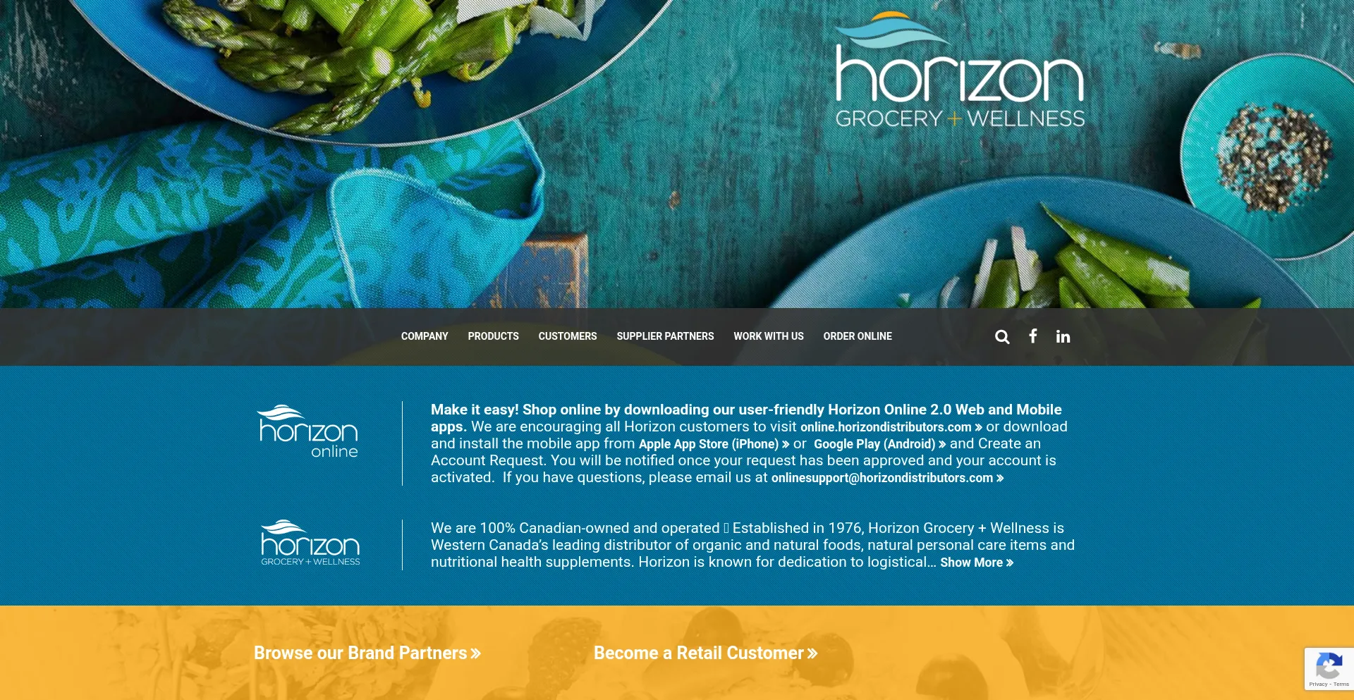 Website screenshot of Horizondistributors.com