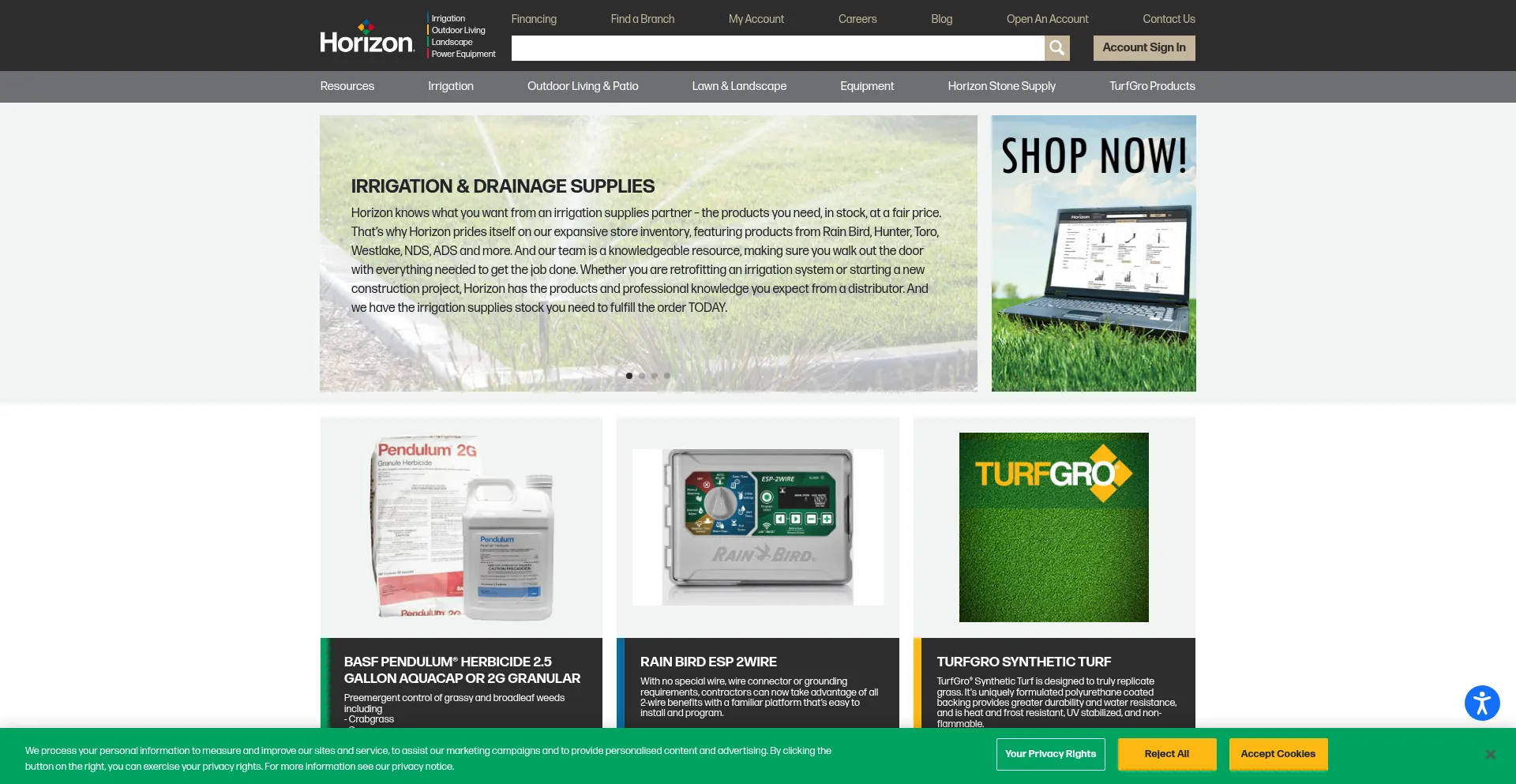 Website screenshot of Horizononline.com
