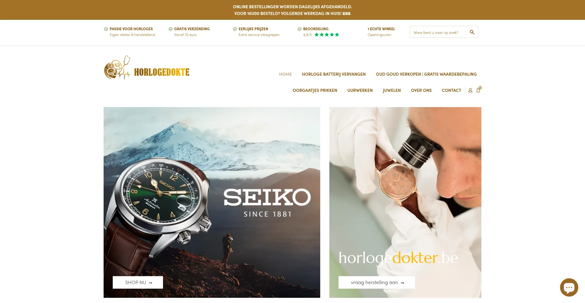 Website screenshot of Horlogedokter.be