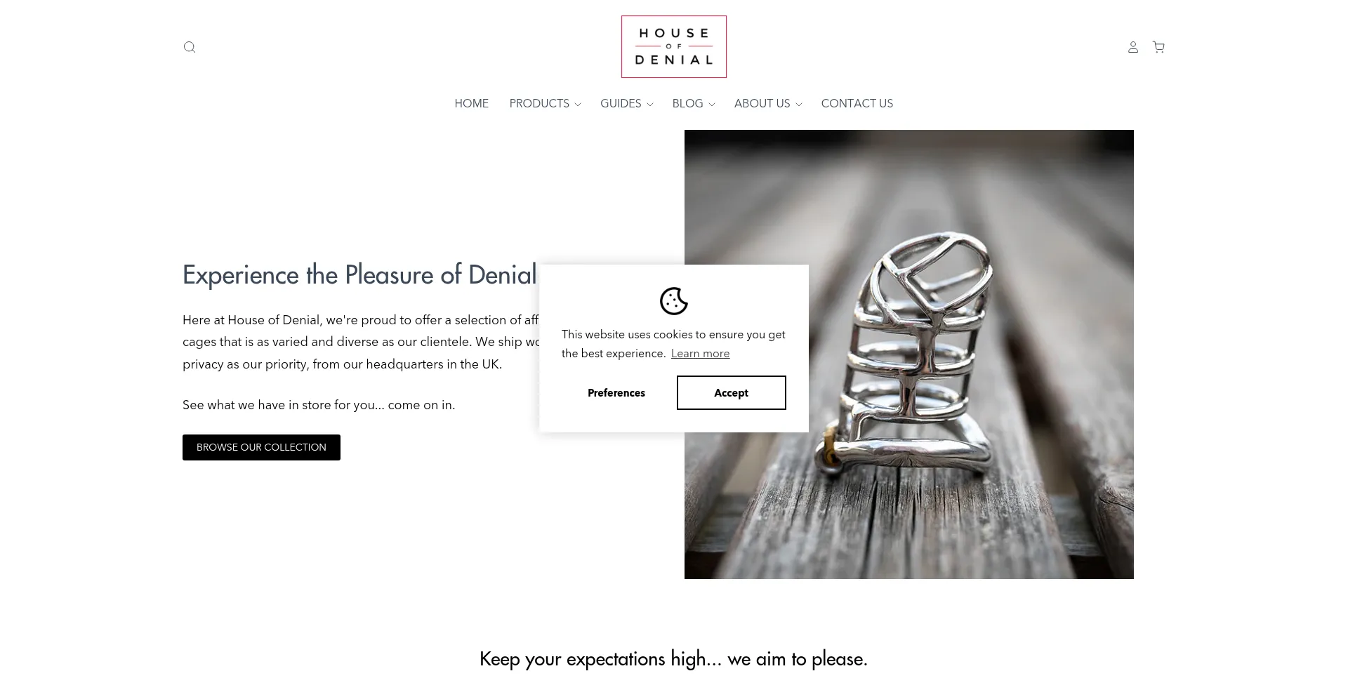 Website screenshot of Houseofdenial.com