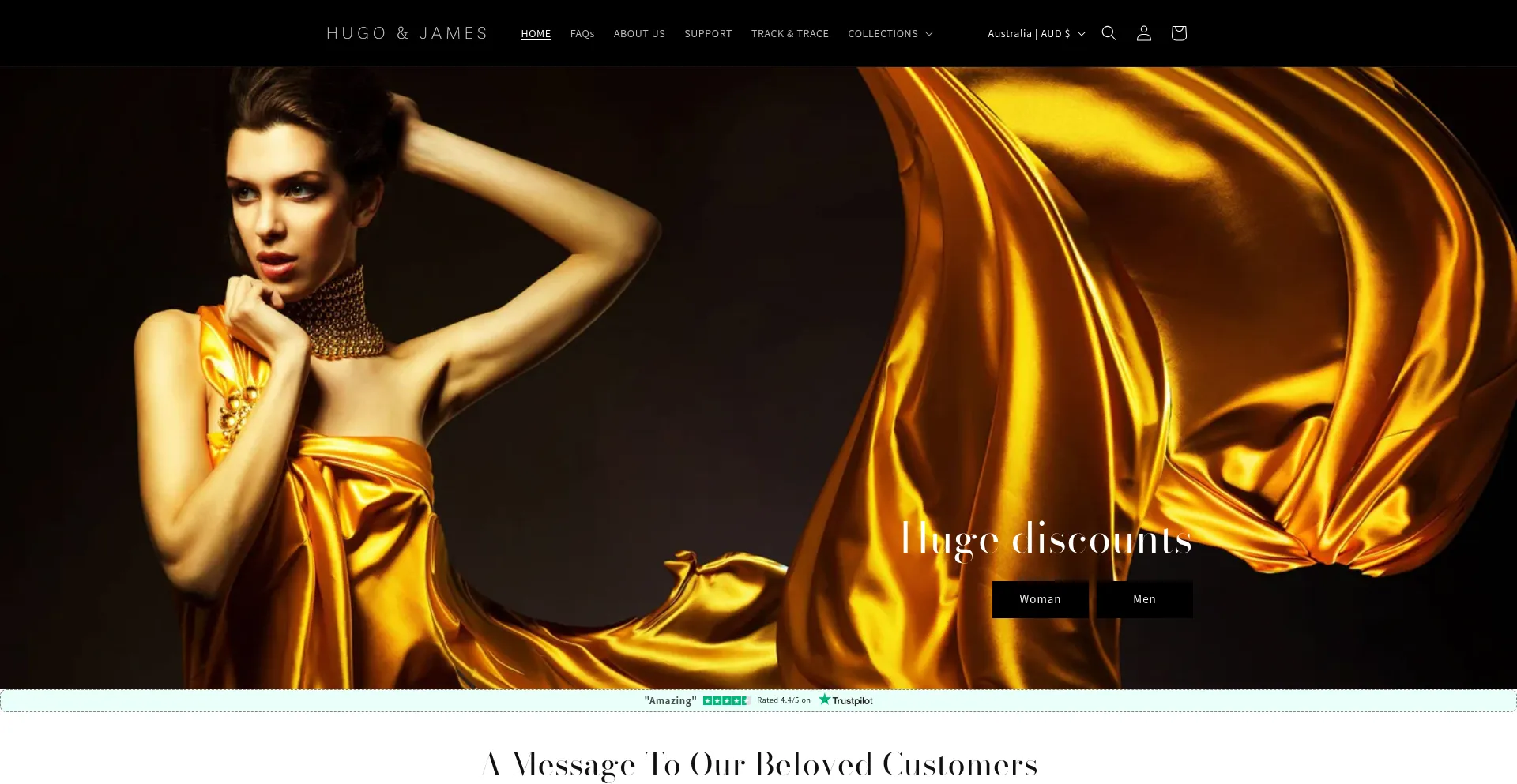 Website screenshot of Hugo-and-james.com