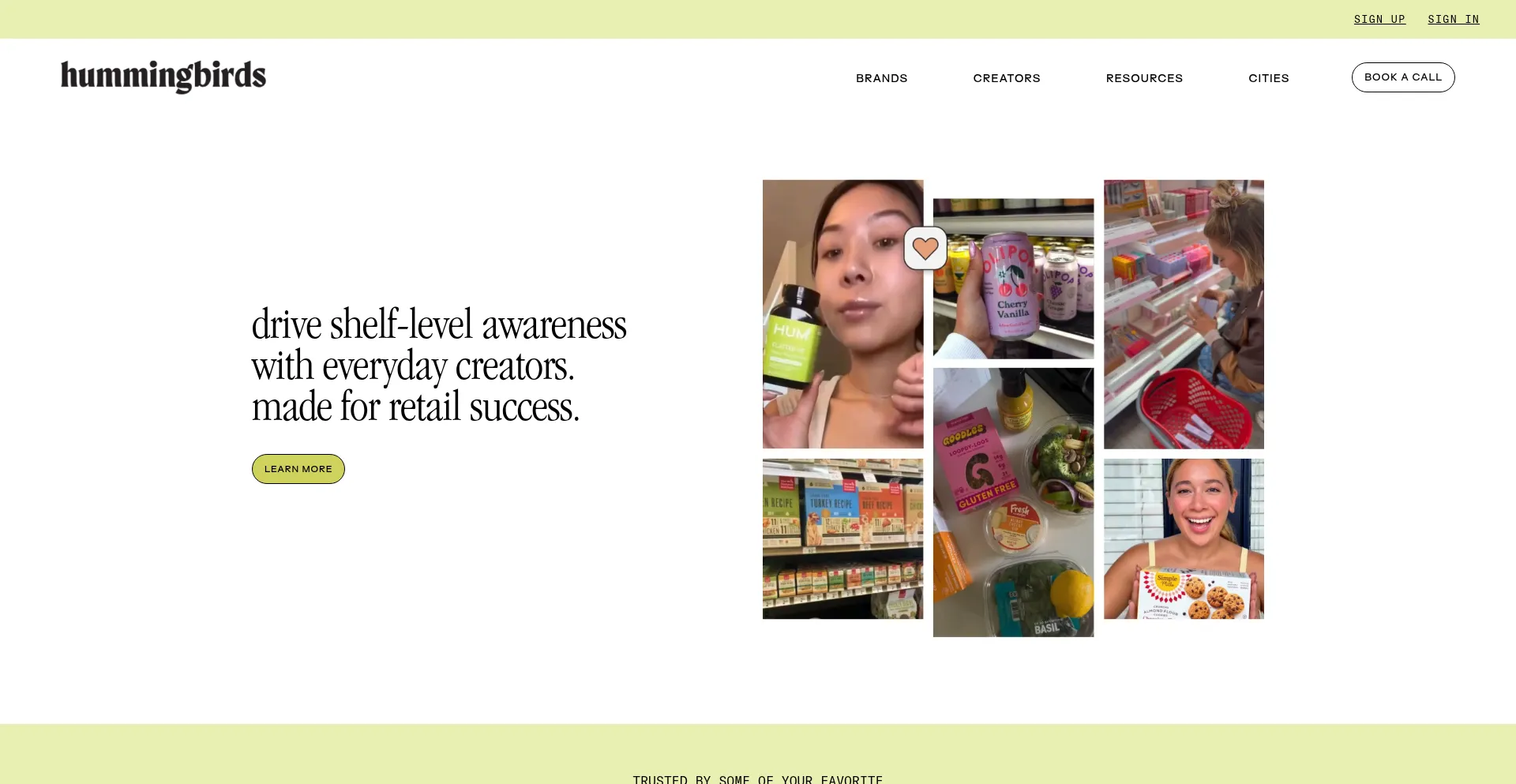 Website screenshot of Hummingbirds.com
