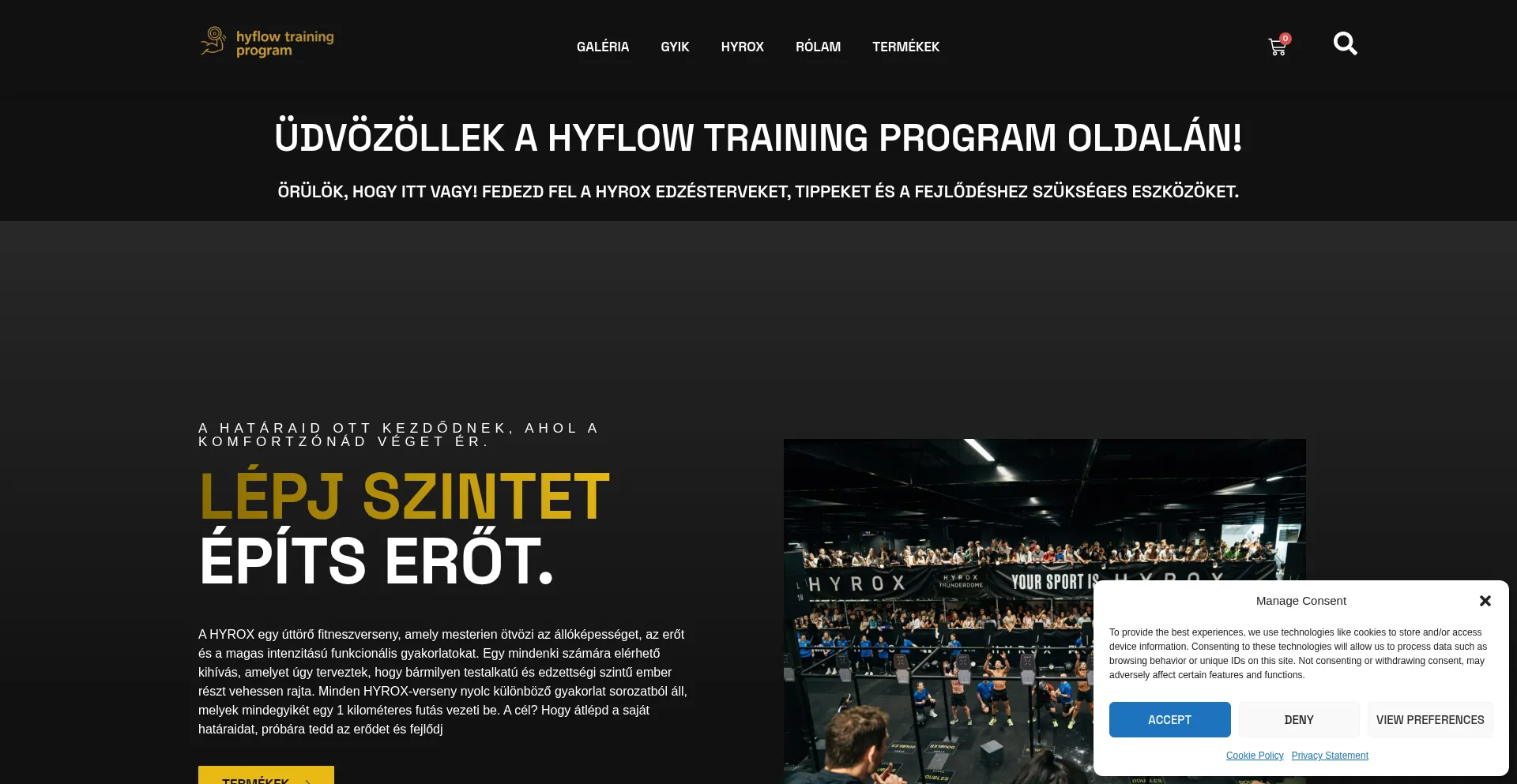 Hyflowtp.com