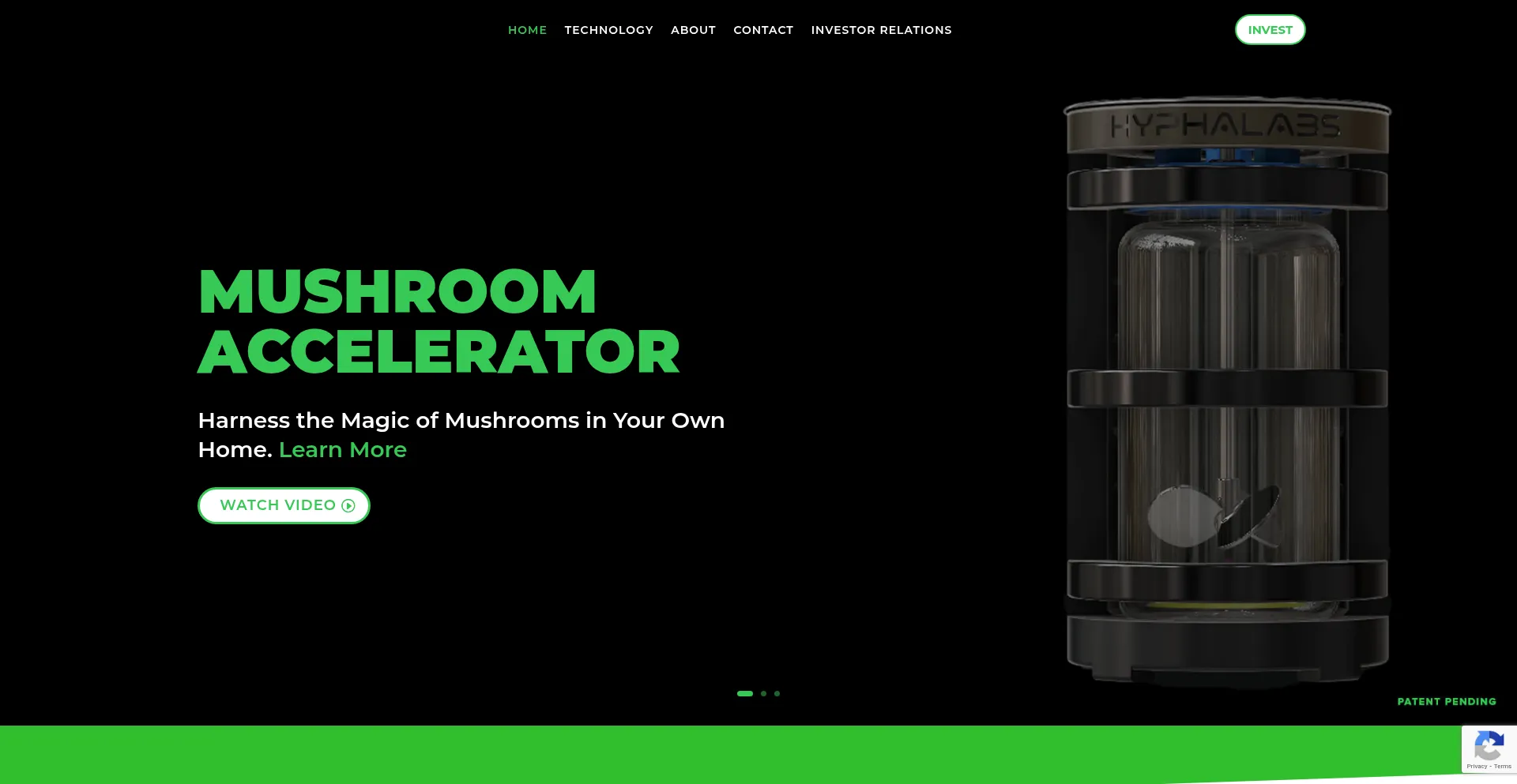 Hyphalabs.com Screenshot
