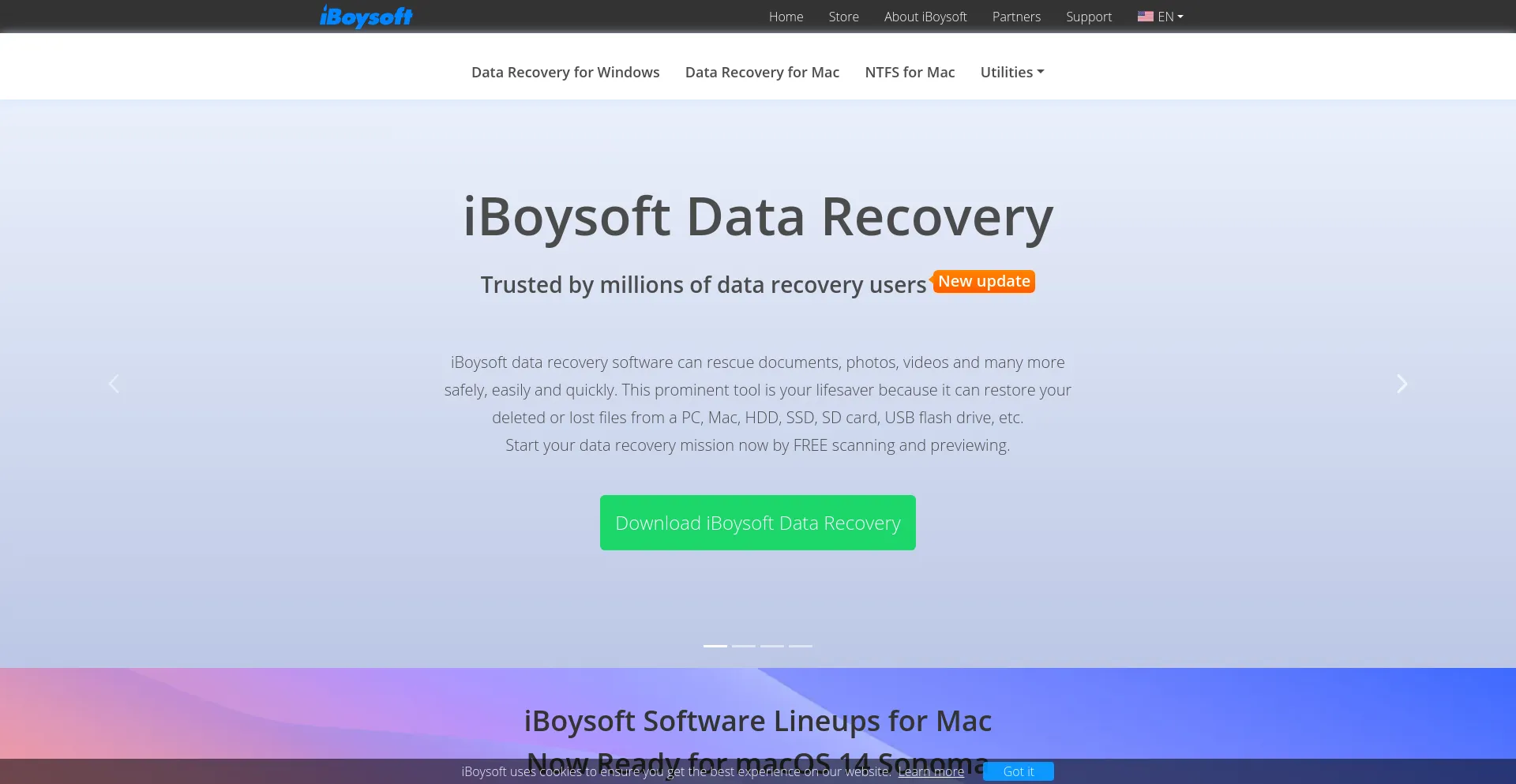 Website screenshot of Iboysoft.com