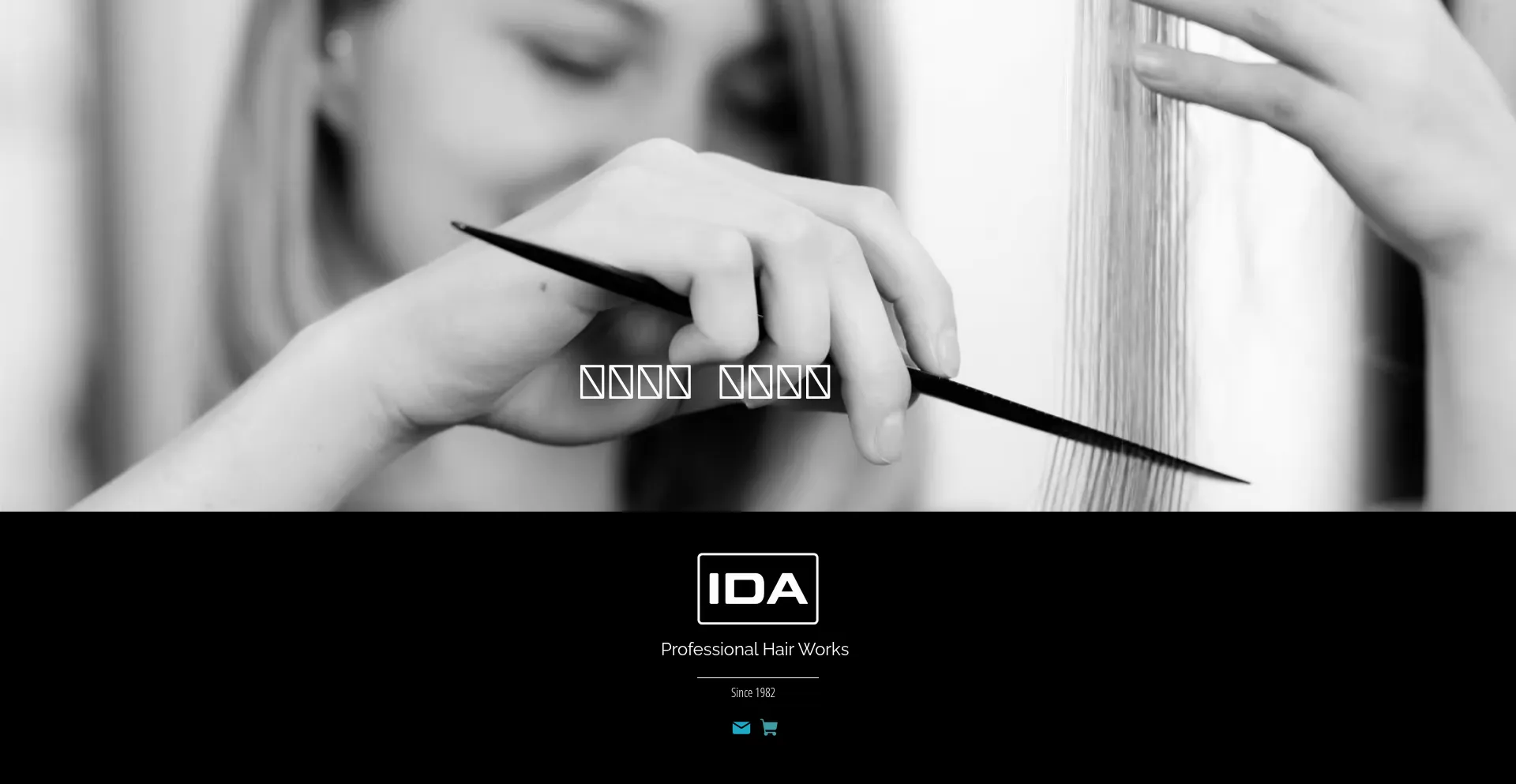 Ida.com Screenshot