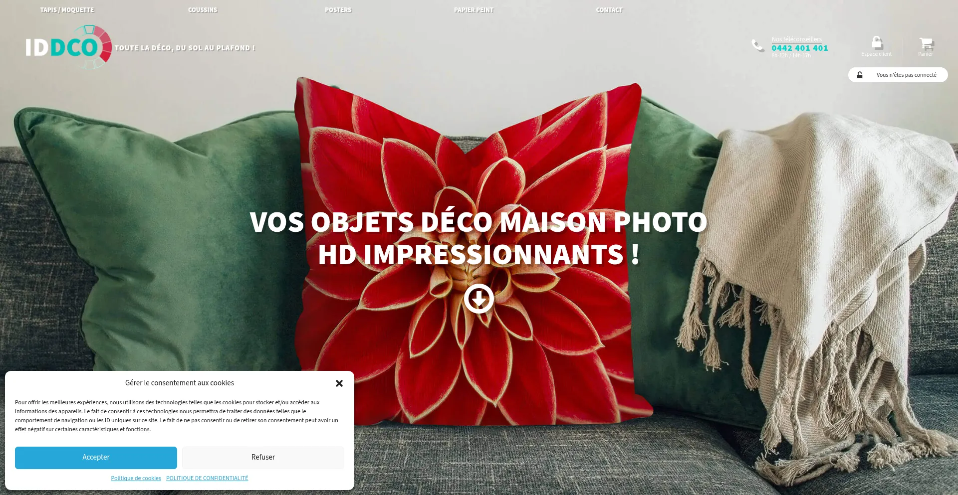 Website screenshot of Iddco.fr
