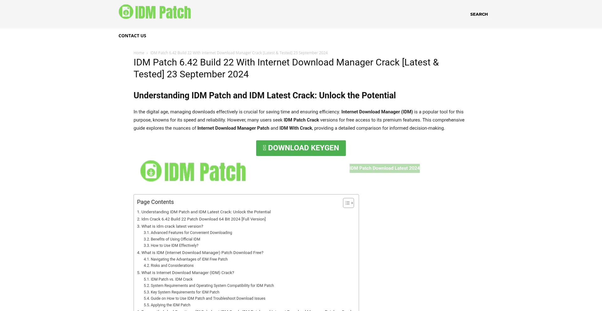Website screenshot of Idm-patch.com