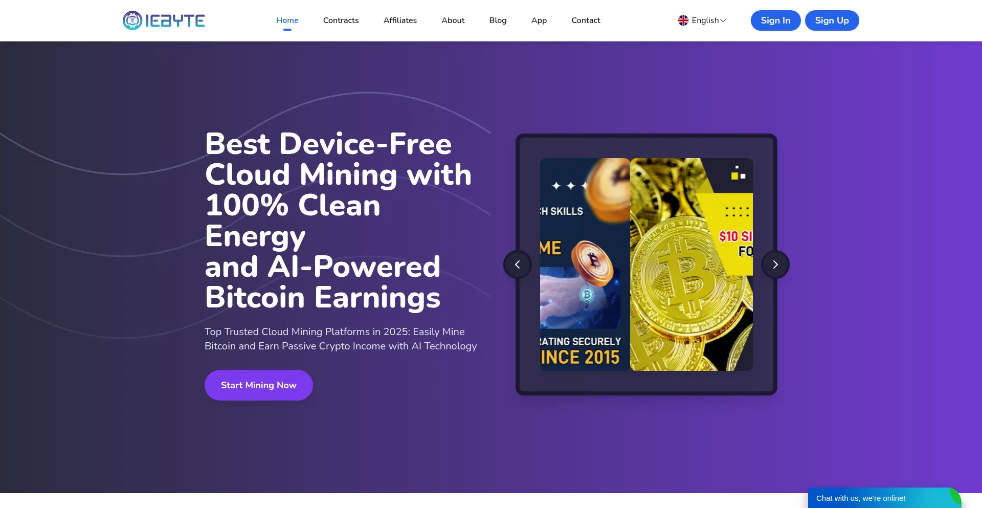 Website screenshot of Iebyte.com