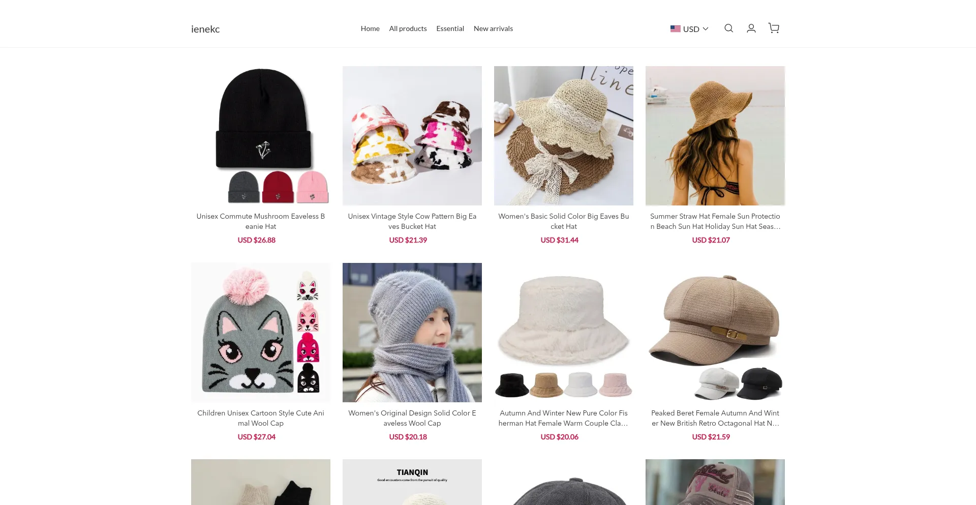 Website screenshot of Ienekc.com