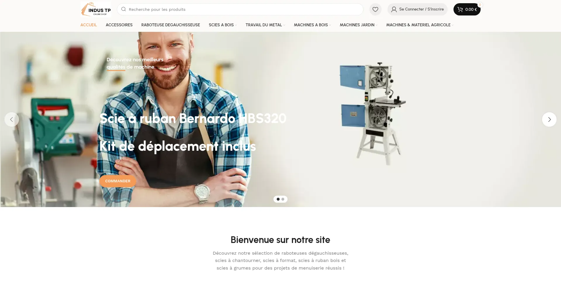 Website screenshot of Indus-tp.com