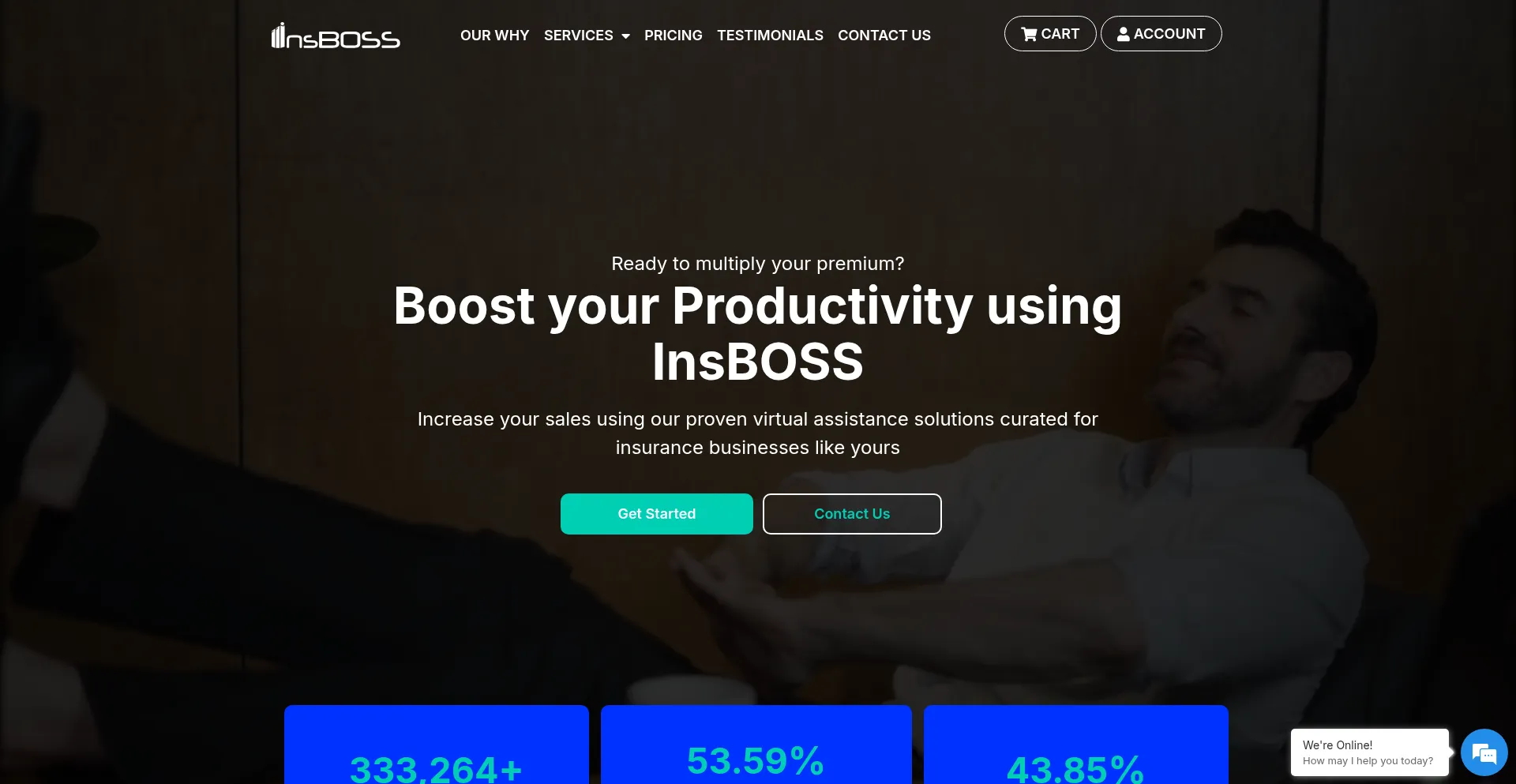 Website screenshot of Insboss.net