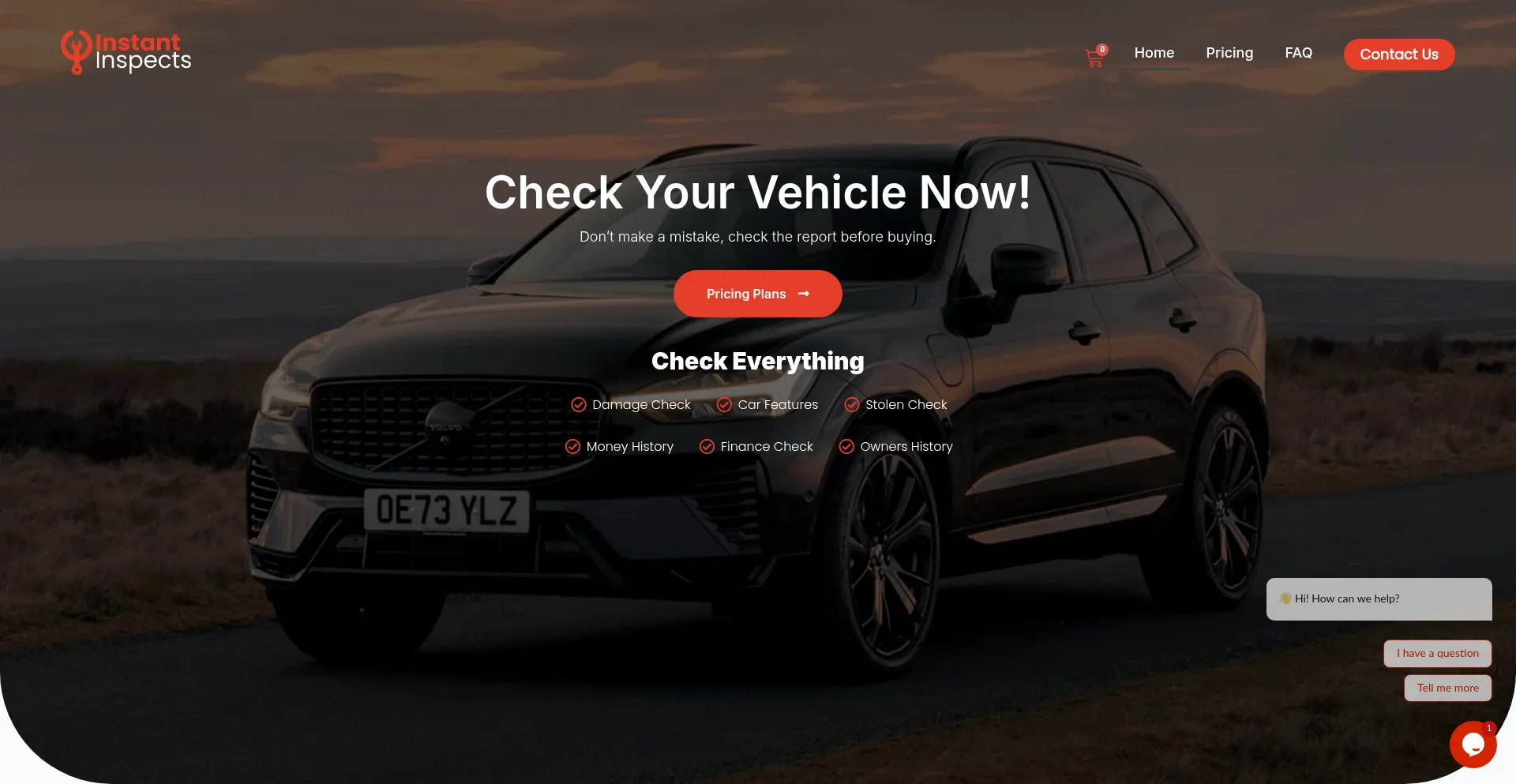 Website screenshot of Instantinspects.com