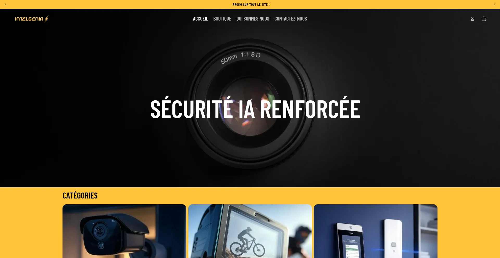Website screenshot of Intelgenia.com