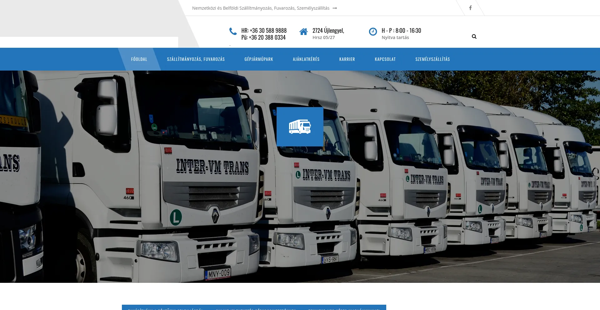Website screenshot of Intervm.hu