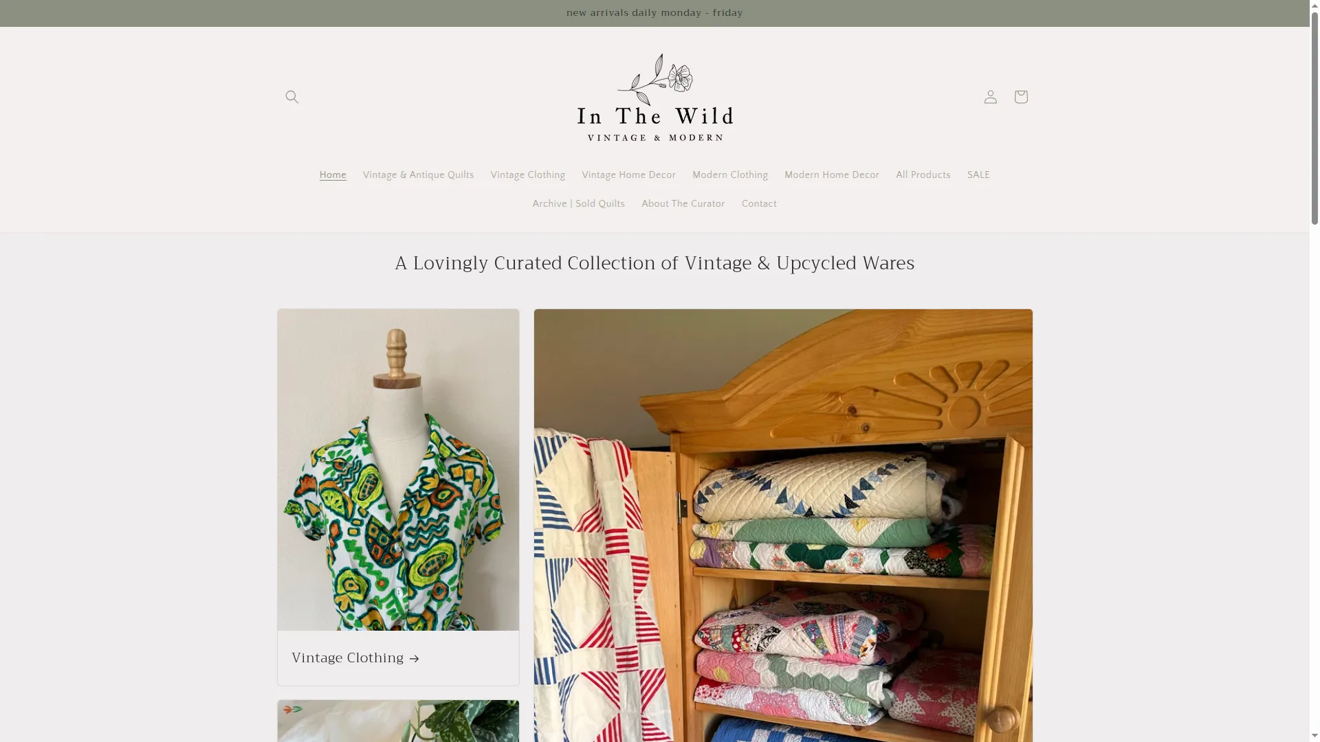 Inthewildmarket.com