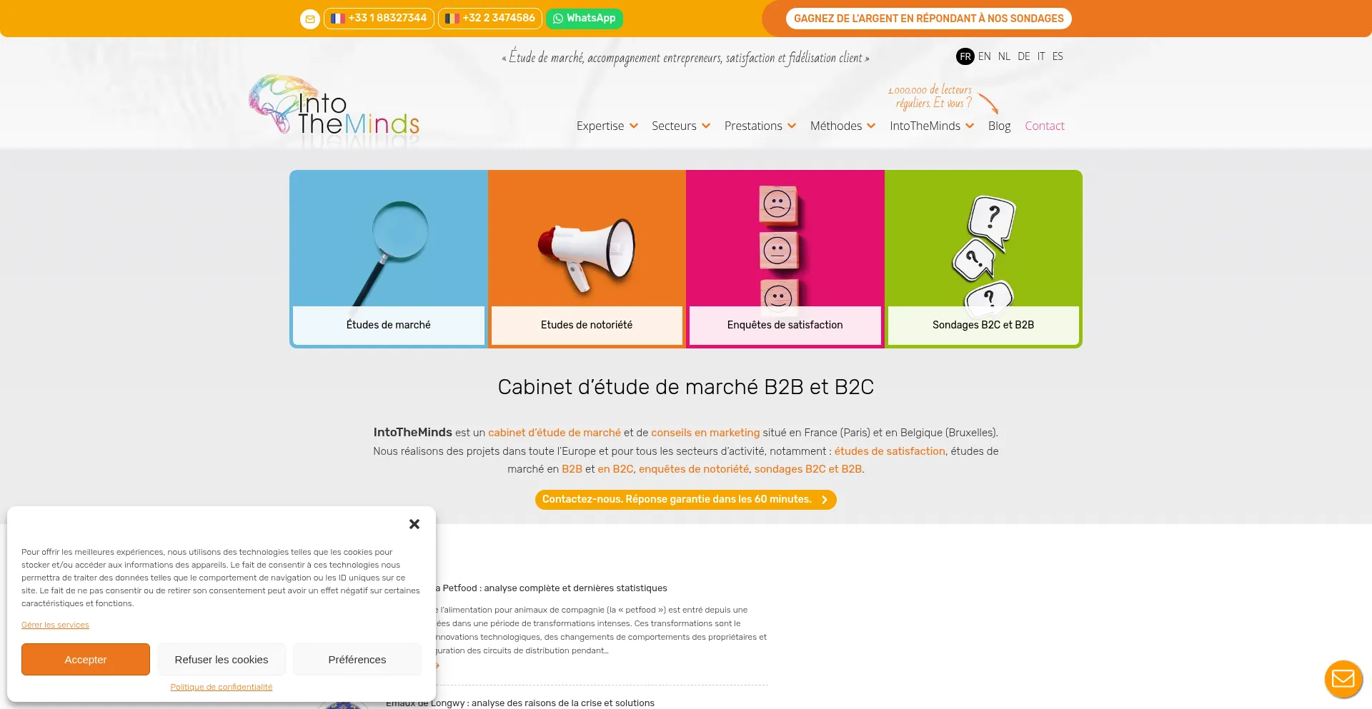 Intotheminds.com