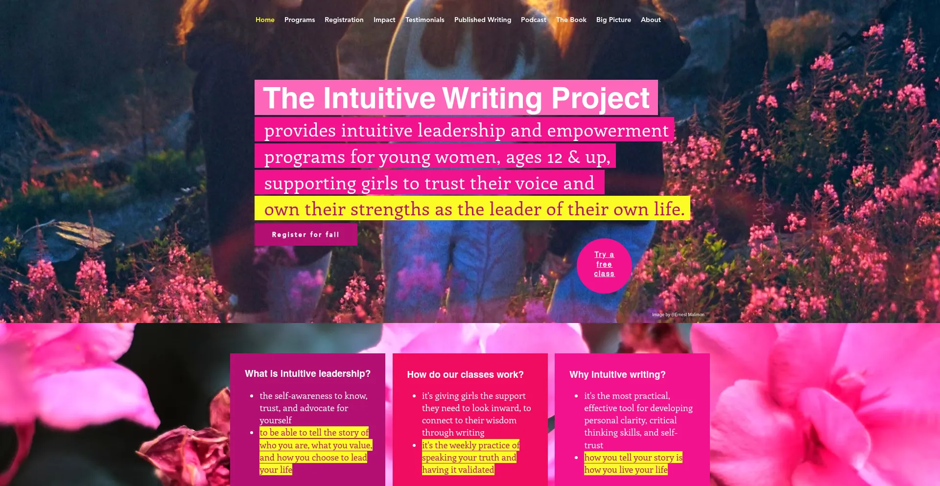 Website screenshot of Intuitivewritingproject.org
