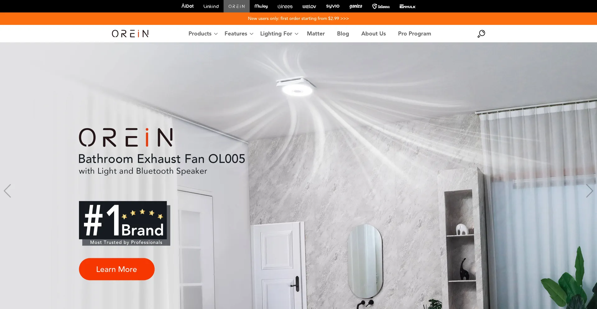 Website screenshot of Iorein.com