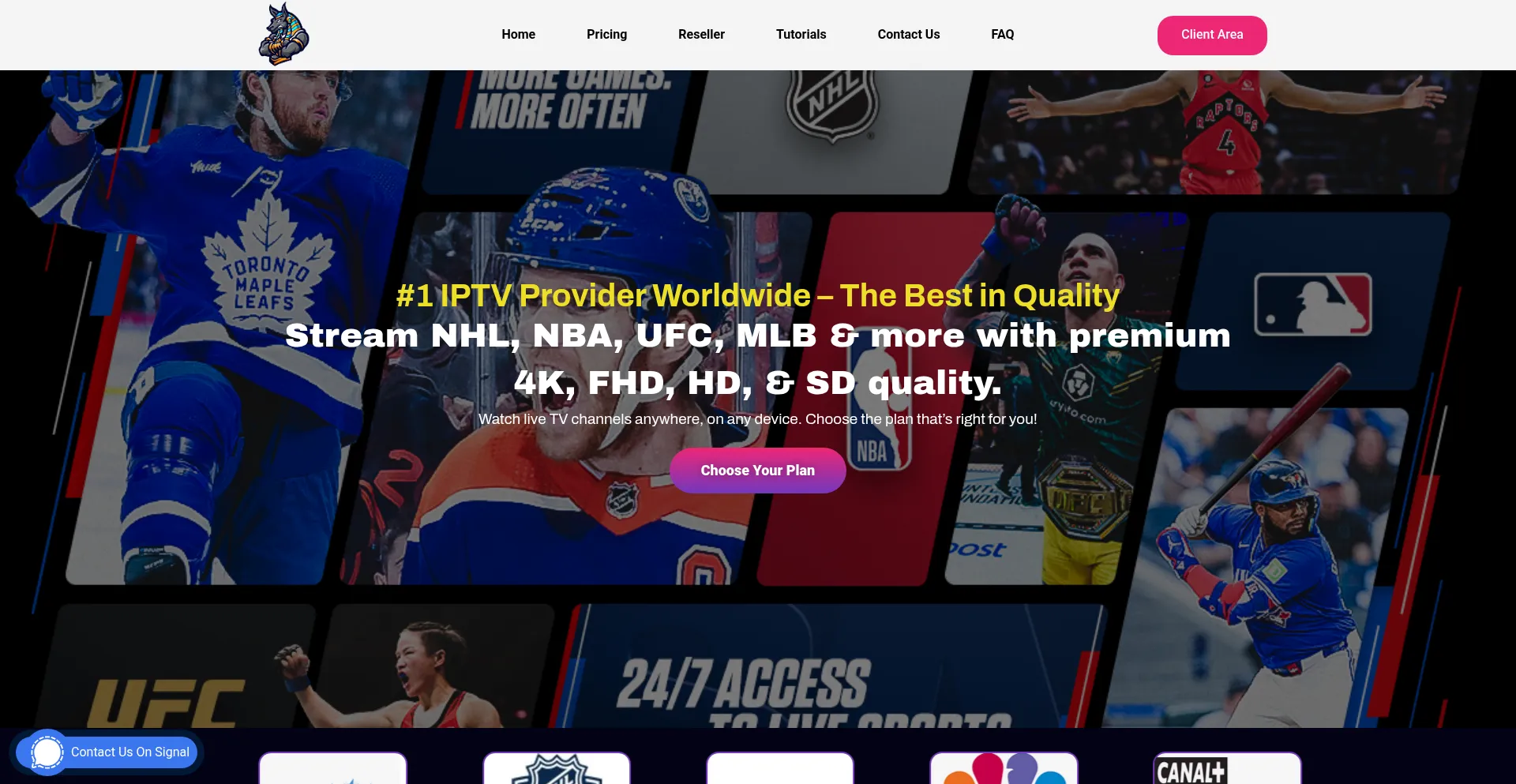 Website screenshot of Iptvanubis.net