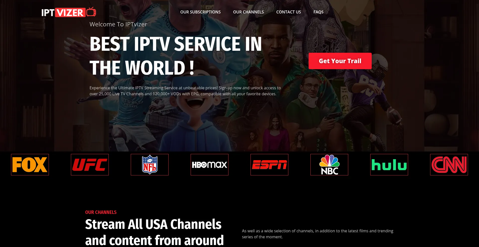Website screenshot of Iptvizer.com