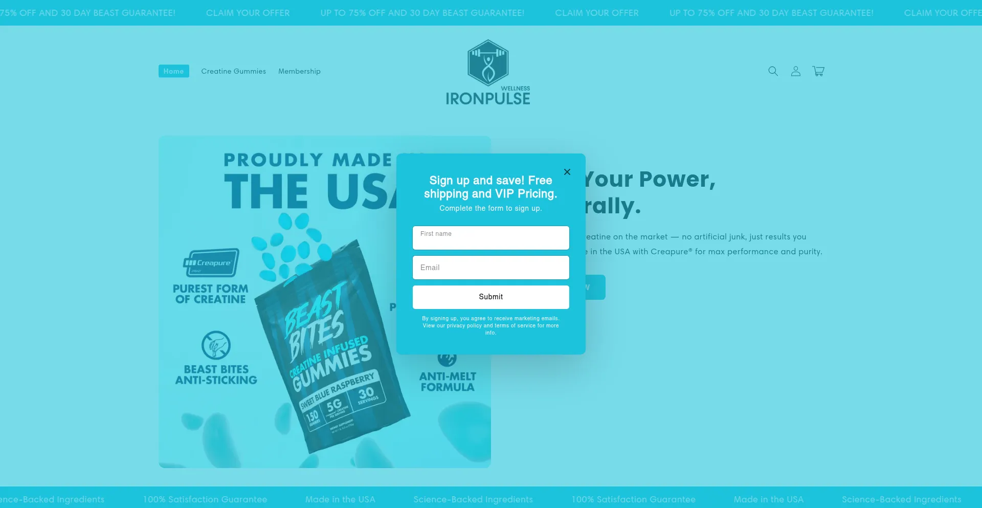 Website screenshot of Ironpulsewellness.org