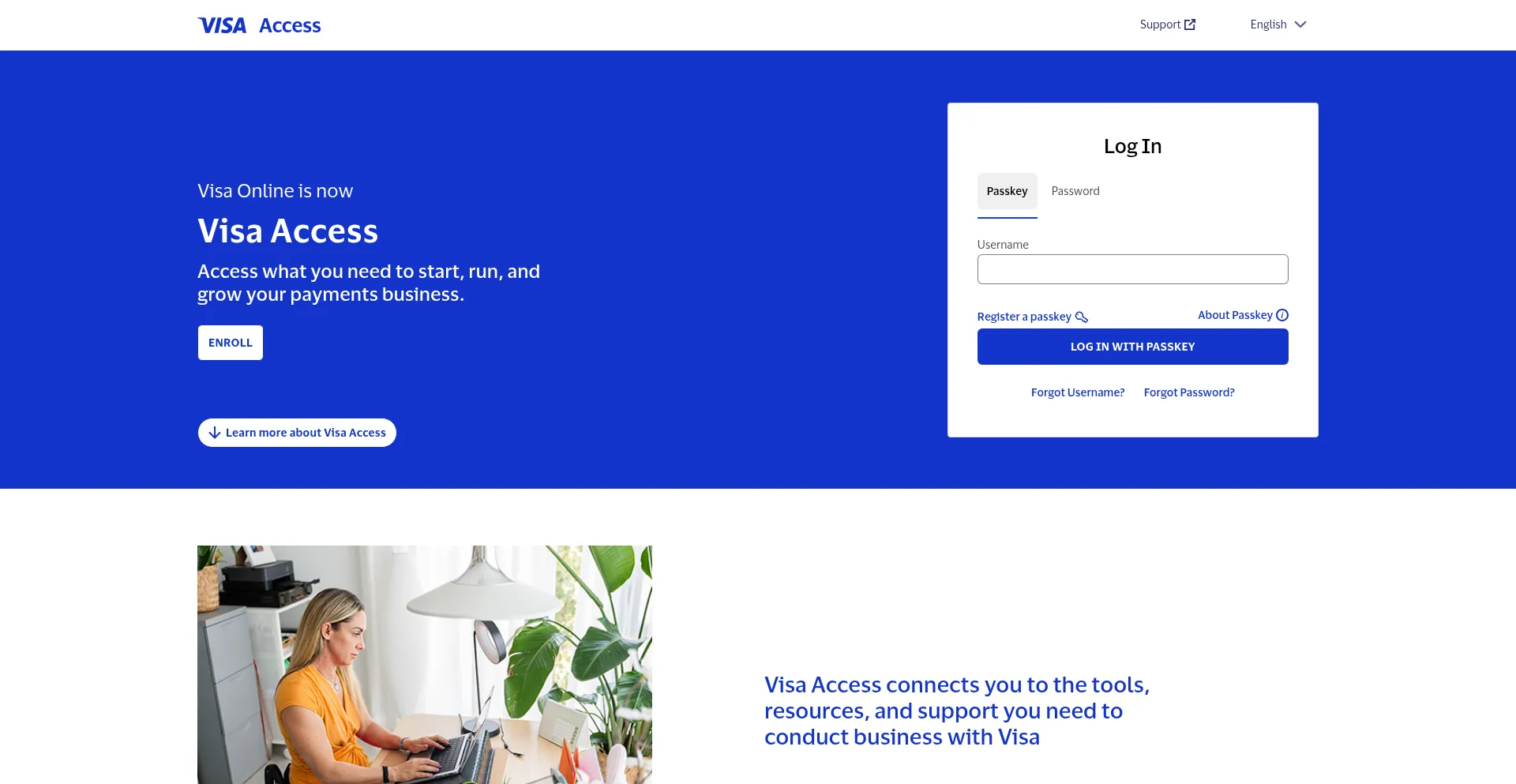 Website screenshot of Issuertools.visaonline.com