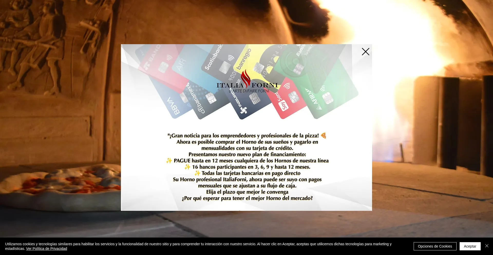 Italiaforni.net 安全可靠吗？