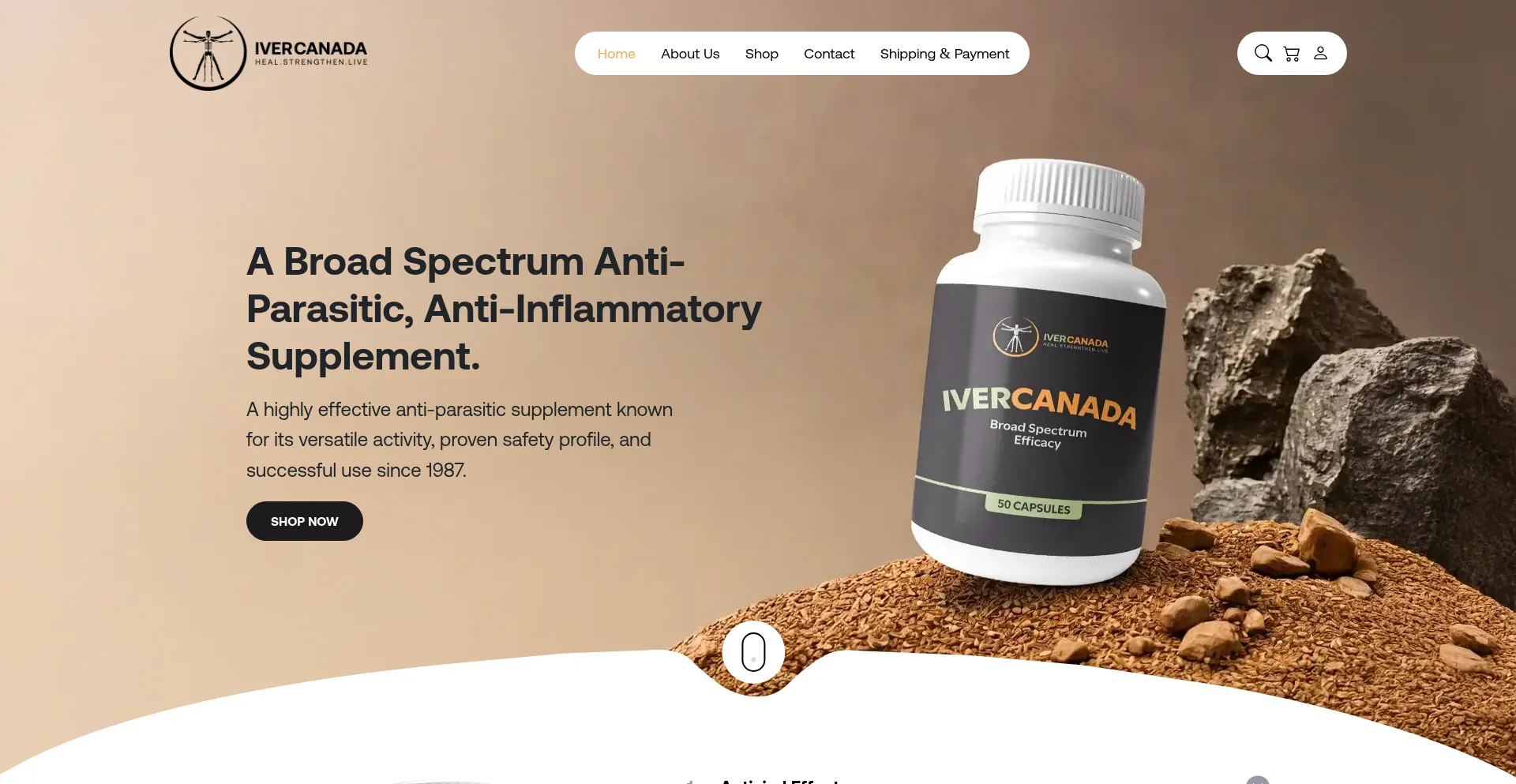 Ivercanada.com 安全可靠吗？