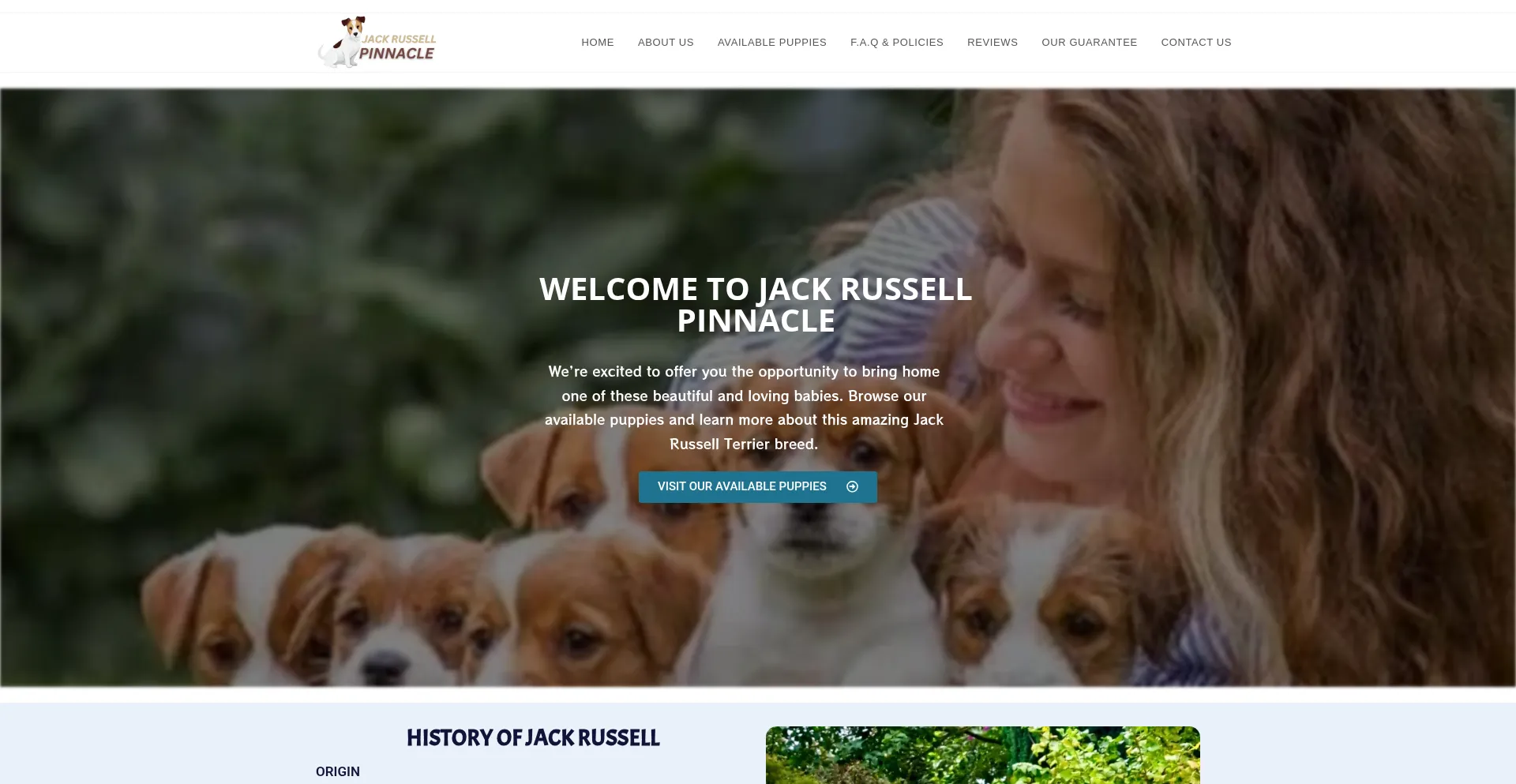 Jackrussellpinnacle.com