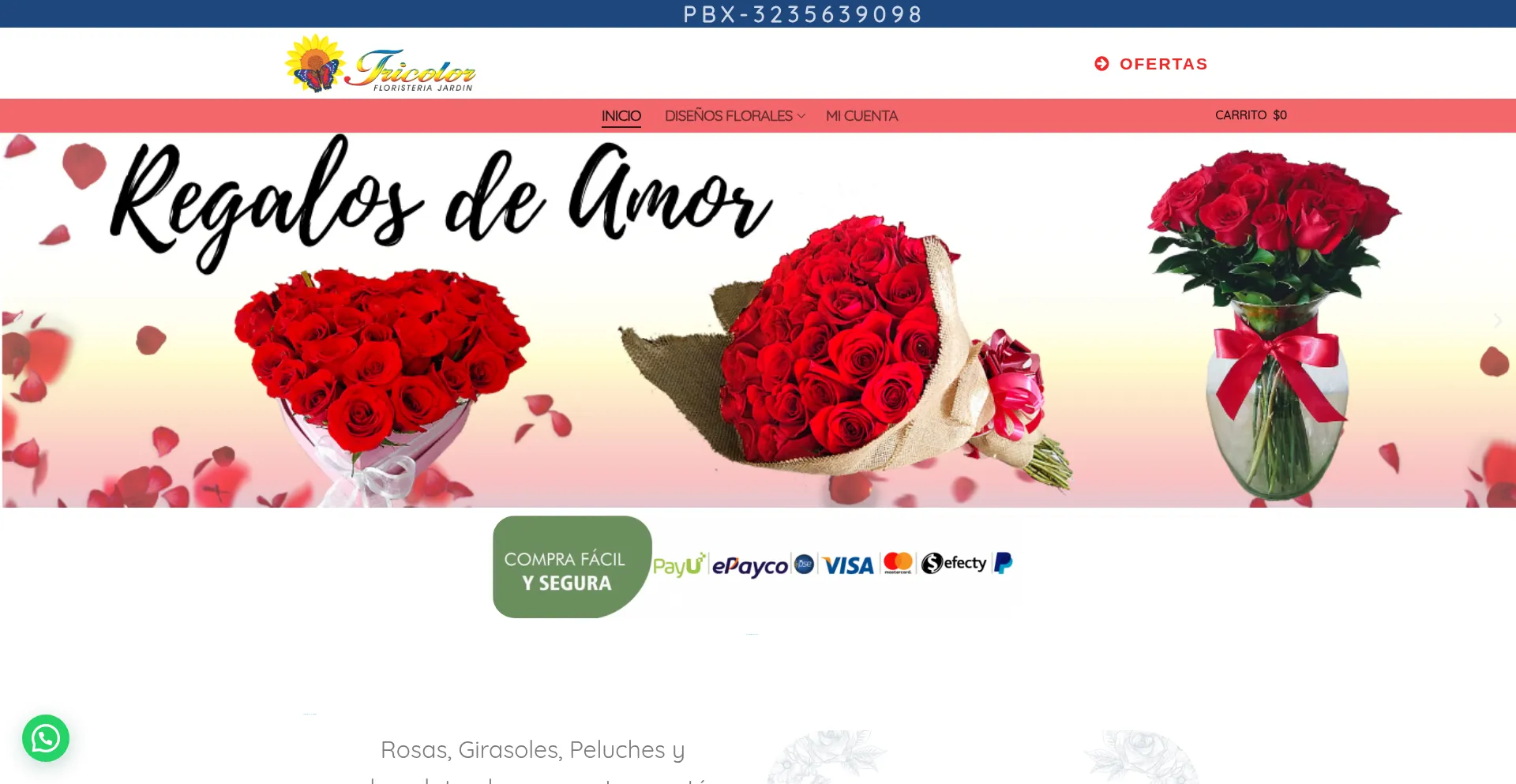 Jardintricolor.com 安全可靠吗？