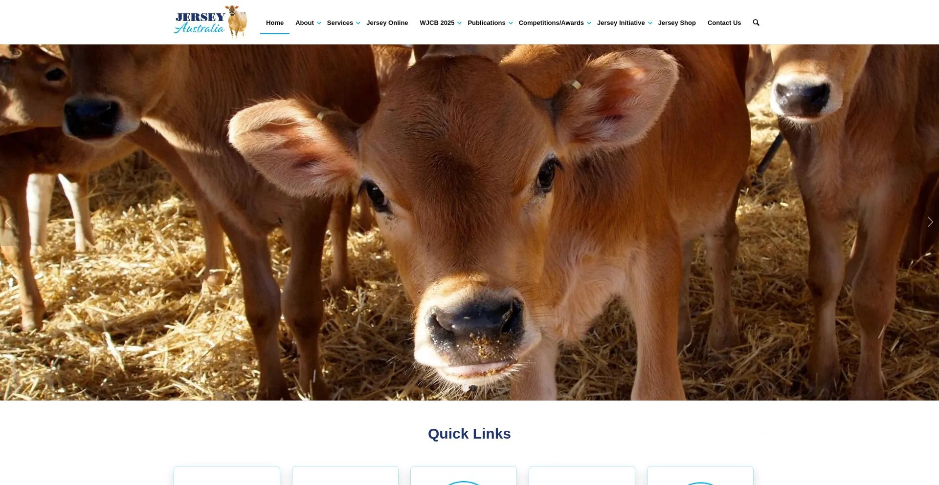 Website screenshot of Jersey.com.au