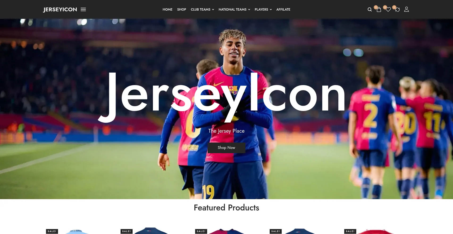 Jerseyicon.com 安全可靠吗？