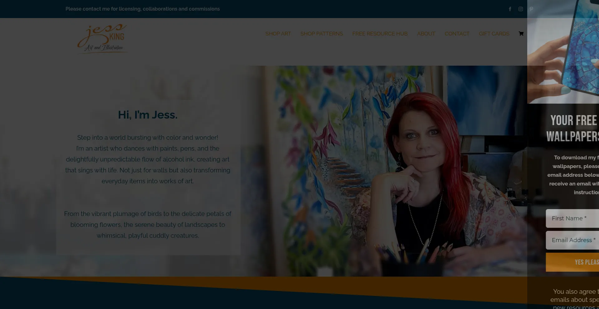 Jessking.com.au 安全可靠吗？